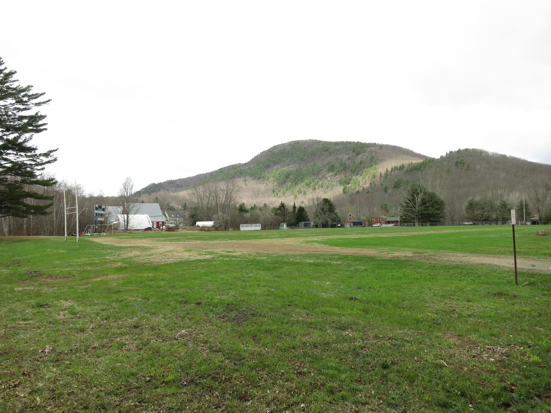 Grassy field with distant buildings and a forested mountain under an overcast sky.