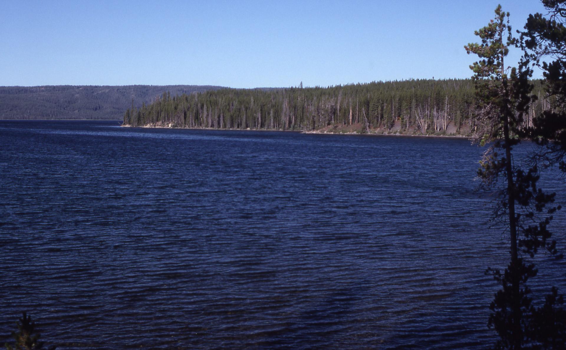 Wide blue lake with a distant forested shoreline under a clear sky.