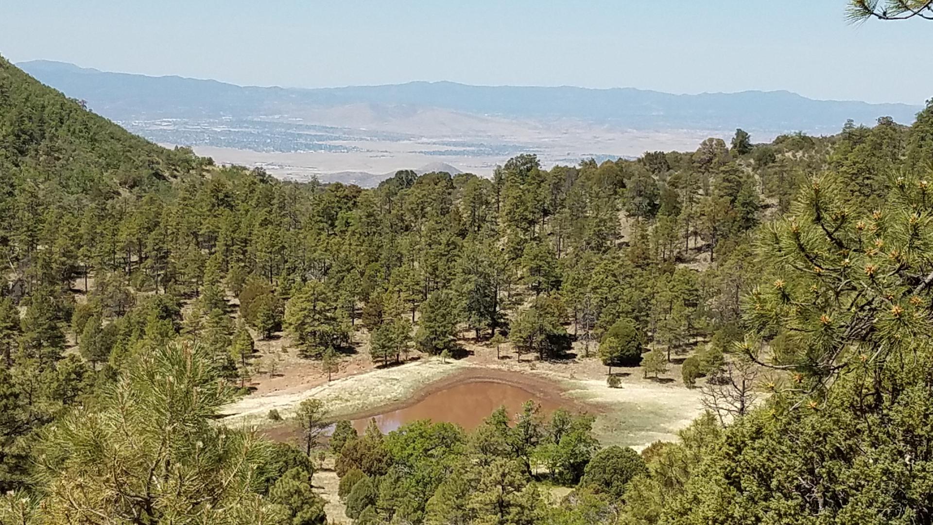 Overhead view of a forest clearing with a reddish pond and distant mountains.