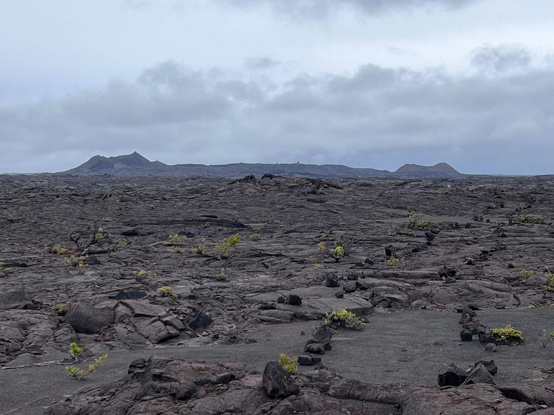 Vast, dark volcanic landscape with sparse green plants under an overcast sky.