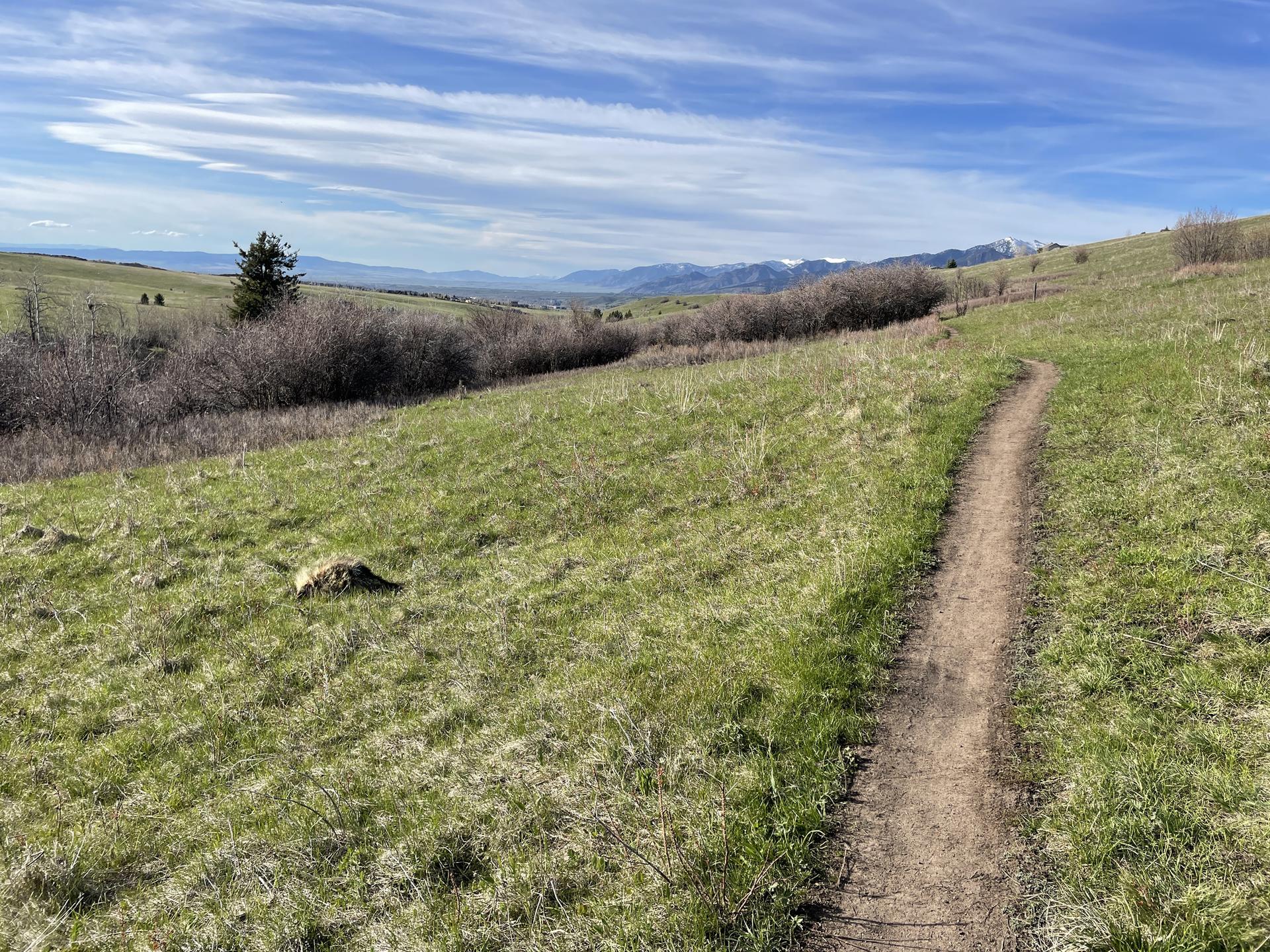 A winding dirt trail ascends a sunlit green hillside with distant mountains.