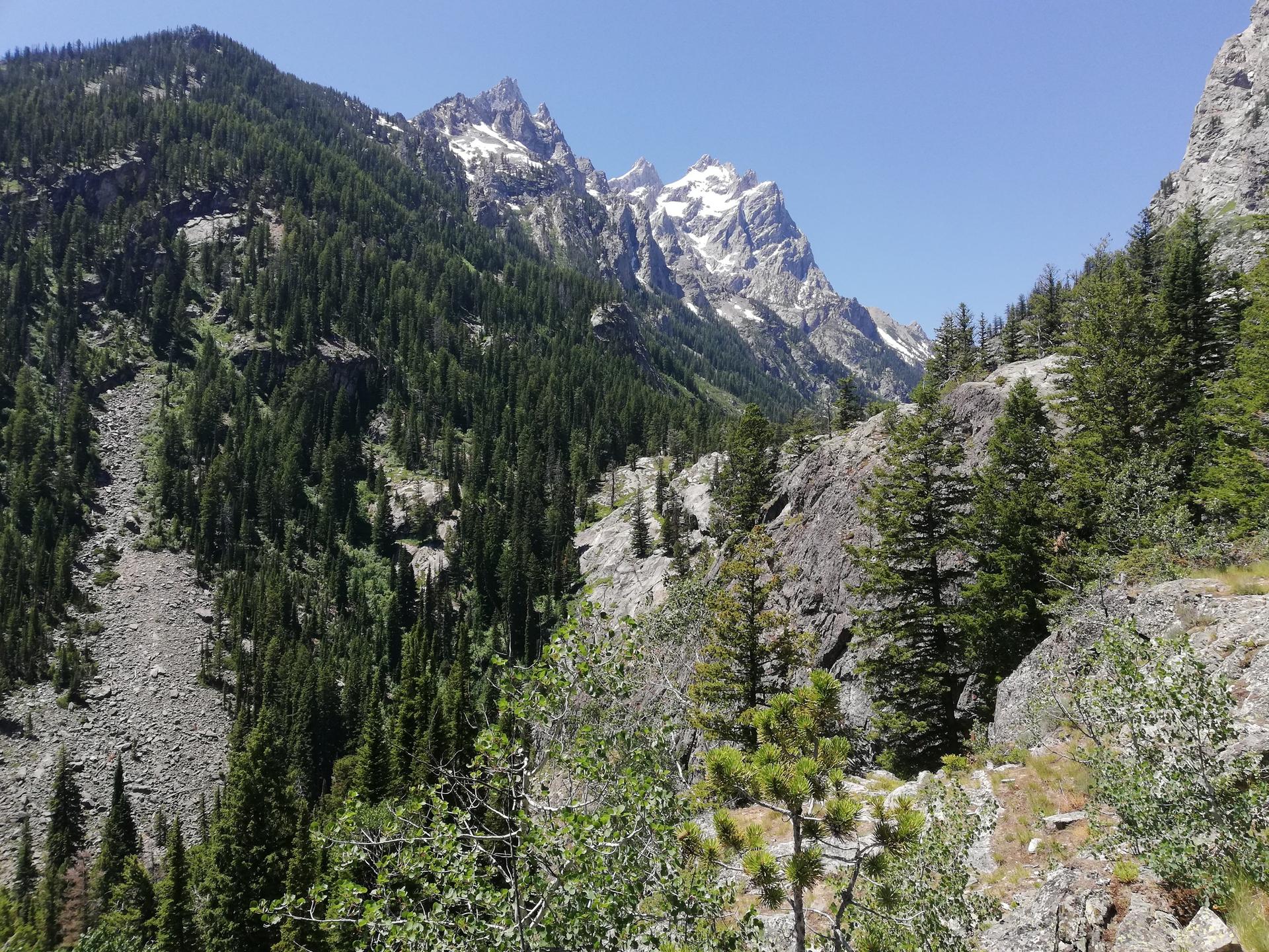 Sunny mountain landscape with snow-capped peaks, dense green forest, and rocky slopes.