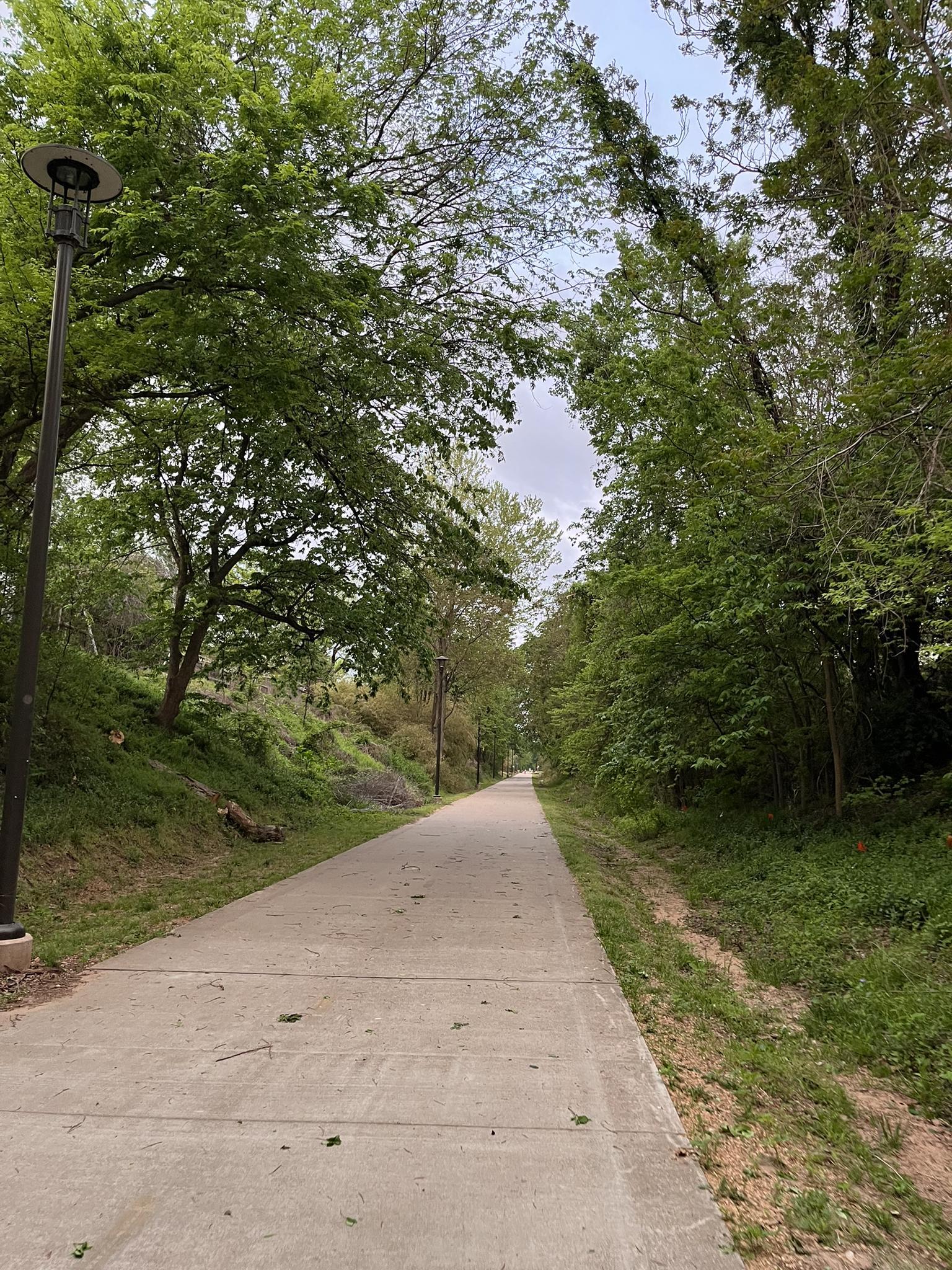 Paved path winding uphill through dense green trees on an overcast day.