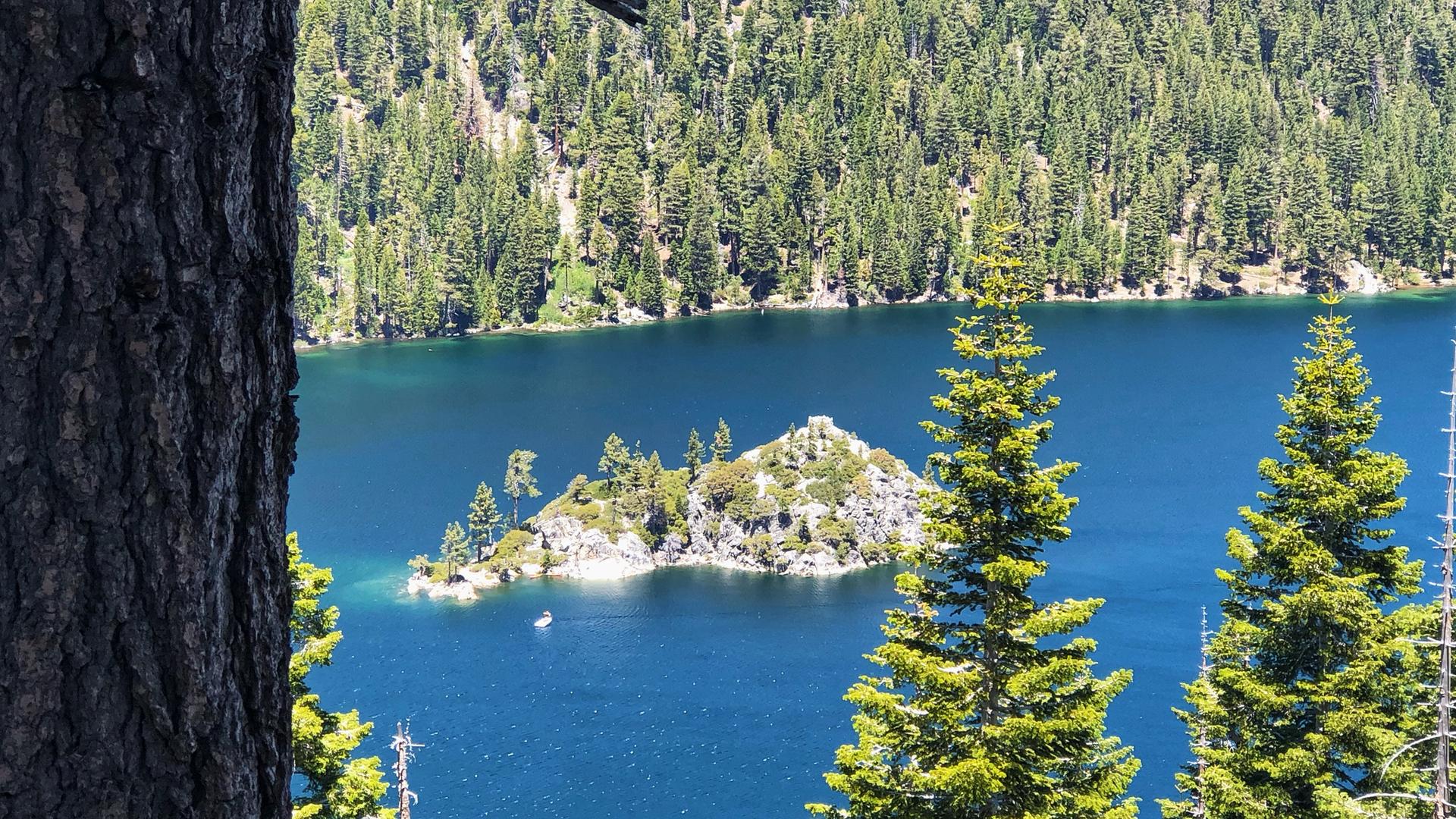 Small rocky island in a deep blue lake, surrounded by dense forest.