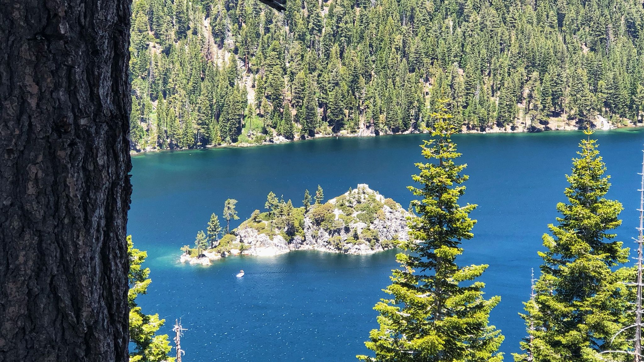 Small rocky island in a deep blue lake, surrounded by dense forest. - Lake Tahoe Century loop from Truckee