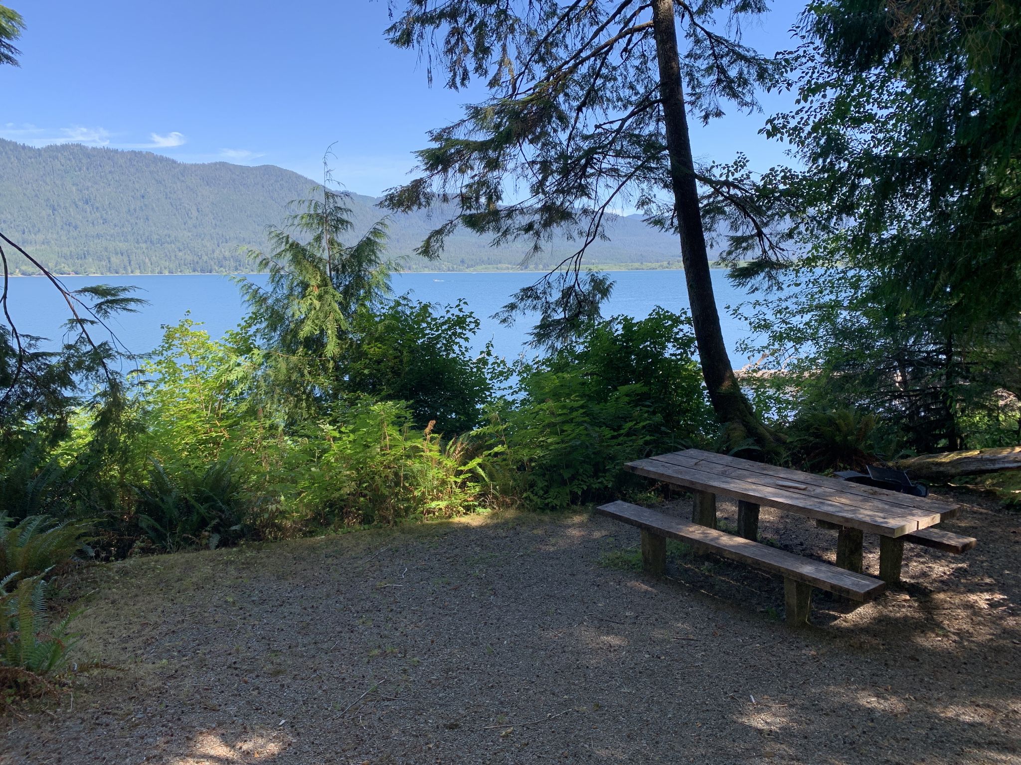 A wooden picnic table sits by a bright blue lake, surrounded by green trees. - Quinault Loop Trail