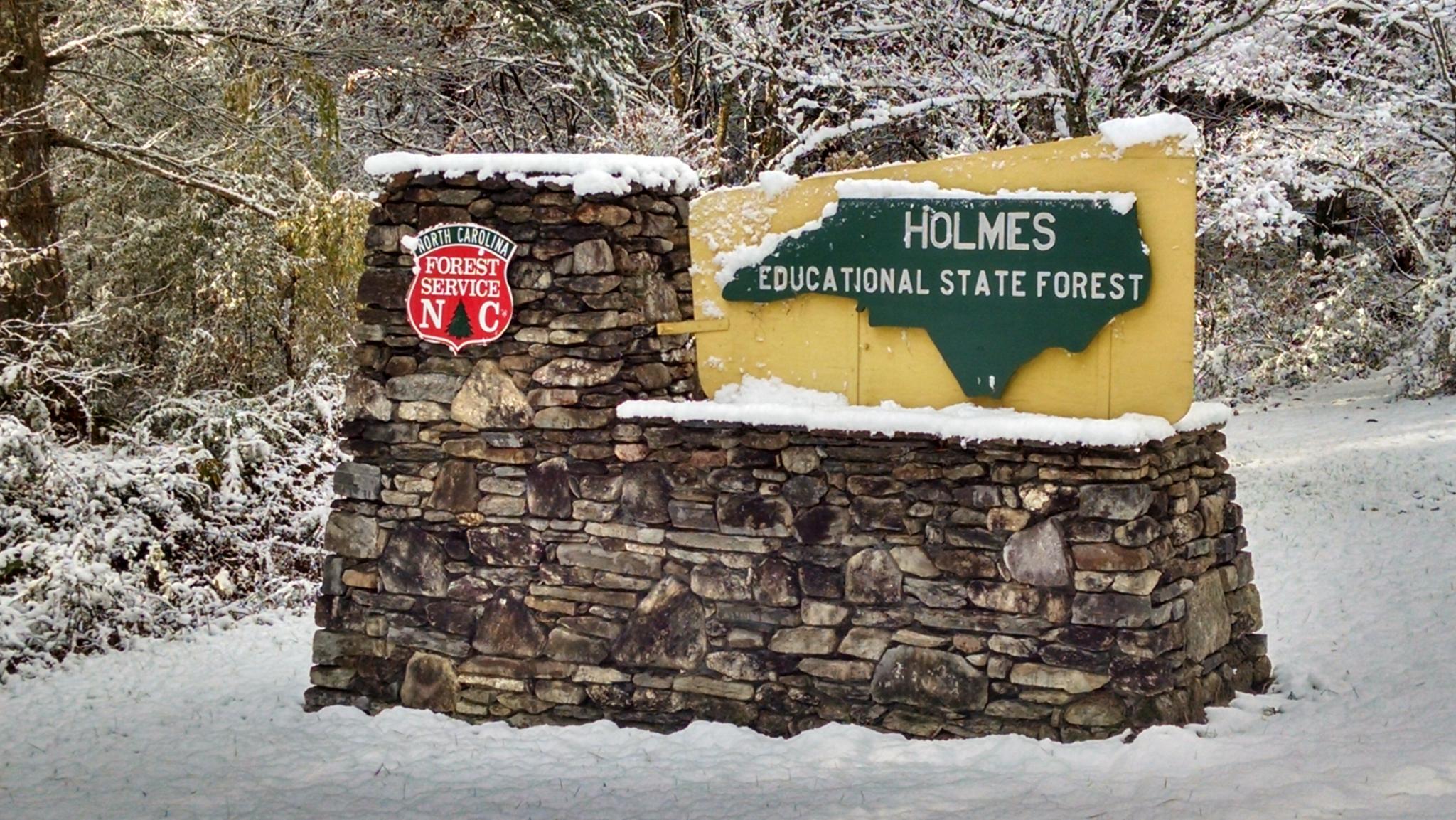 A snow-covered stone sign with a forest background on a bright winter day.