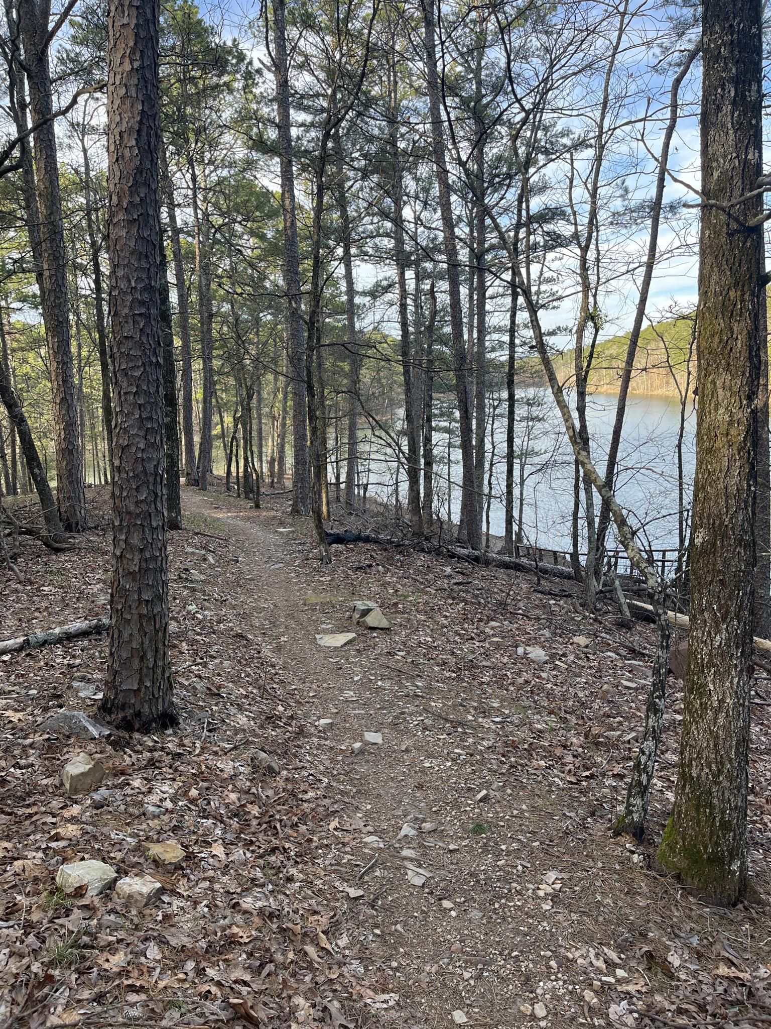 Narrow dirt trail through a pine forest, with a lake visible on the right.