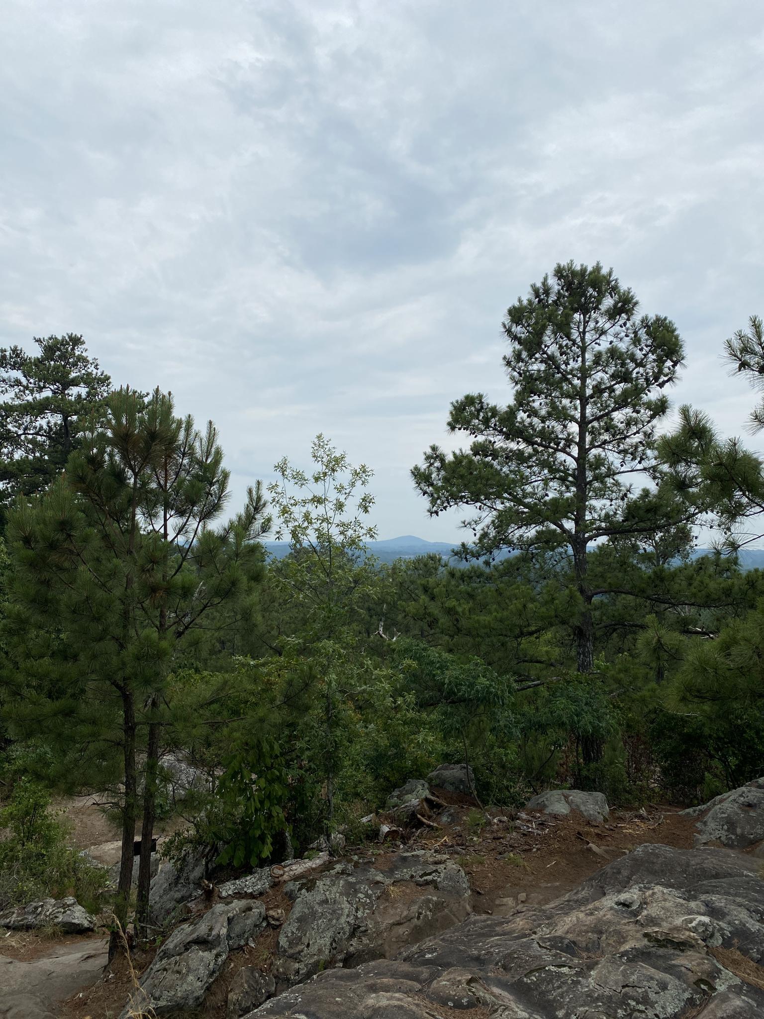 Overcast view of pine trees and distant mountains from a rocky overlook.