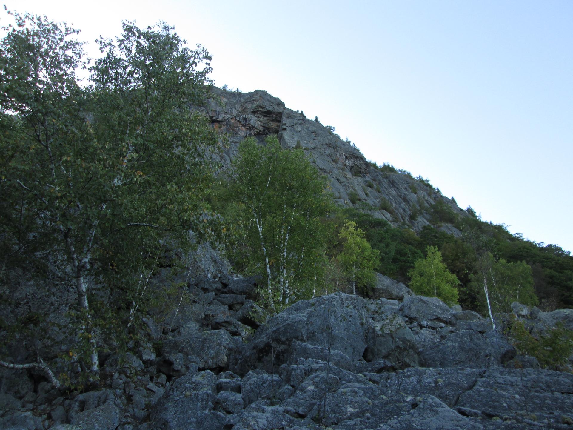 Rocky mountain slope with sparse trees under a bright, clear sky.