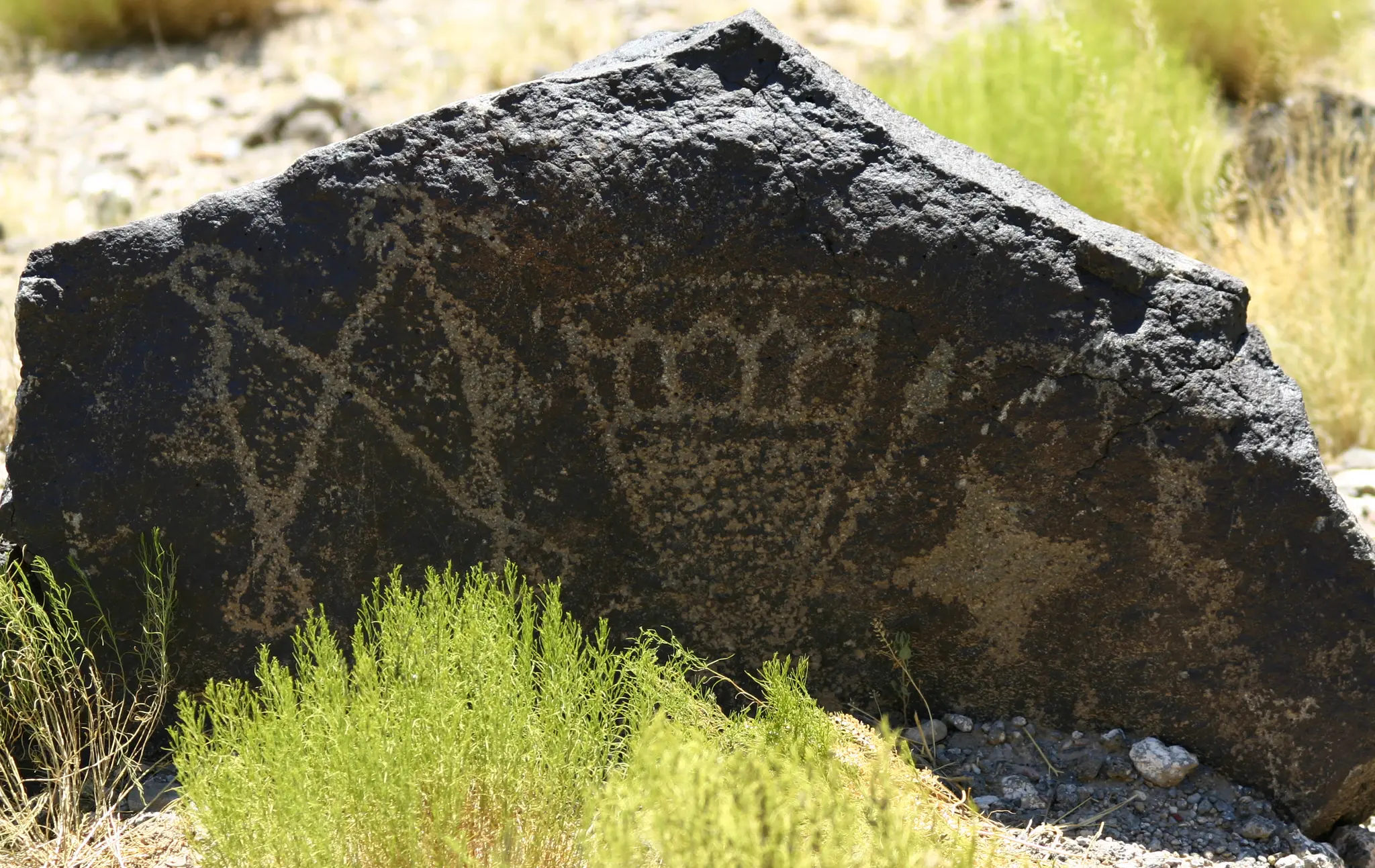 Ancient petroglyphs carved into a dark rock, surrounded by sparse desert plants.