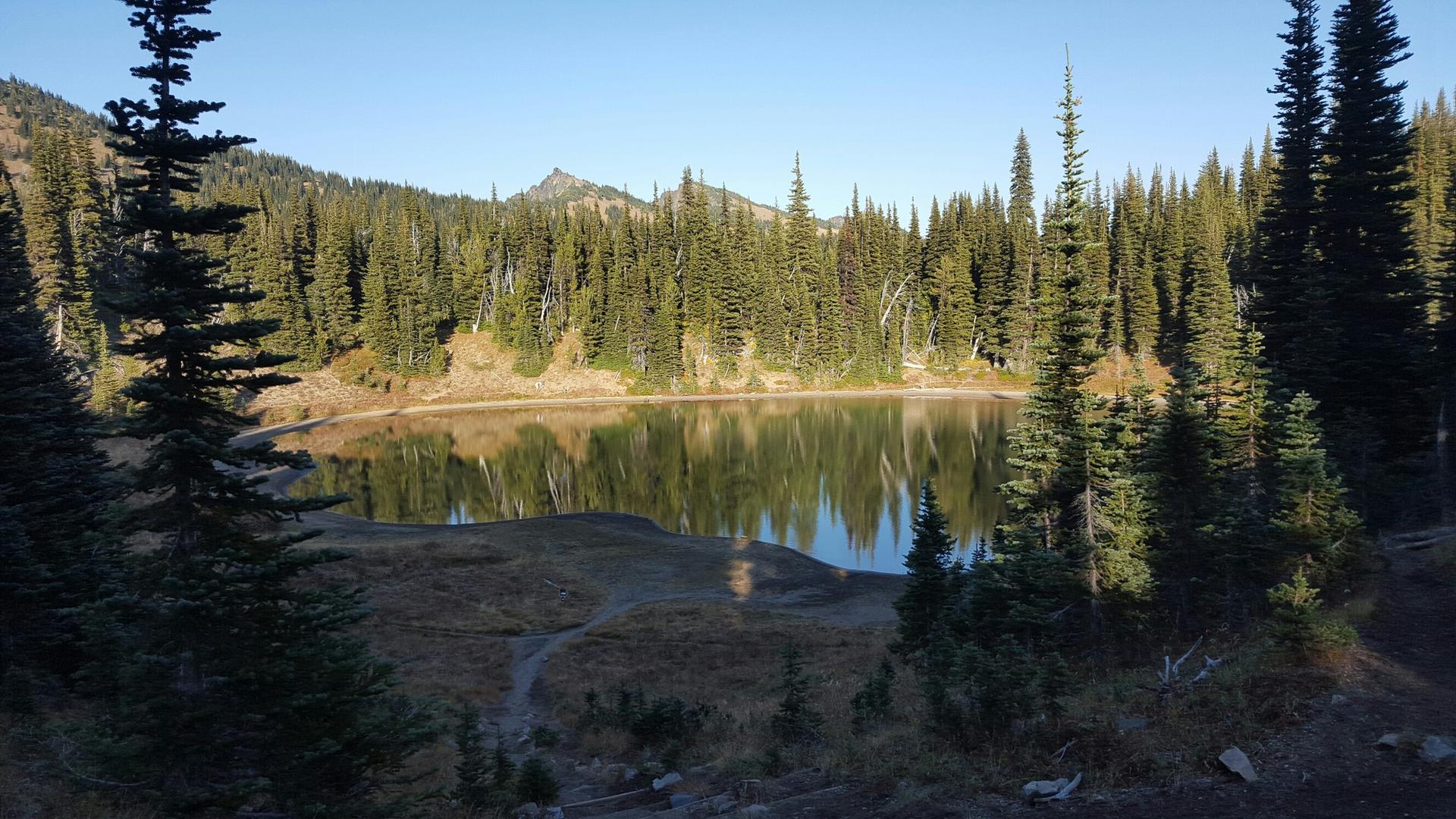 Calm lake reflecting evergreen trees and sky, surrounded by forest in soft light.