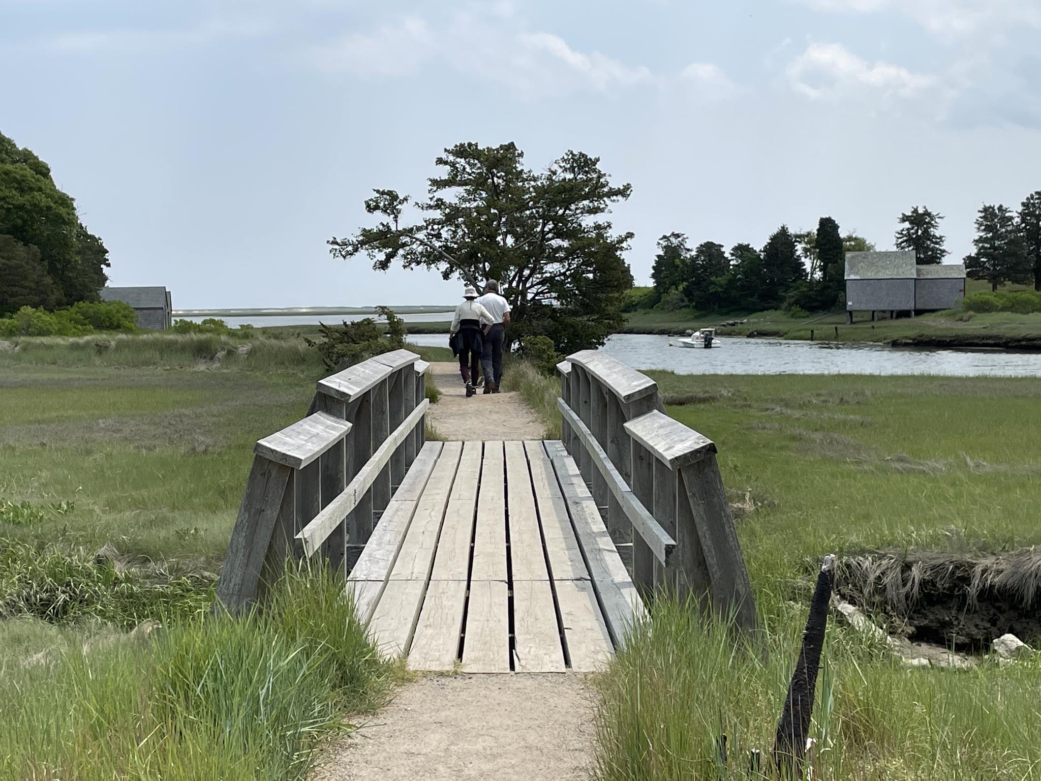 People walk across a wooden bridge over marshland towards water.