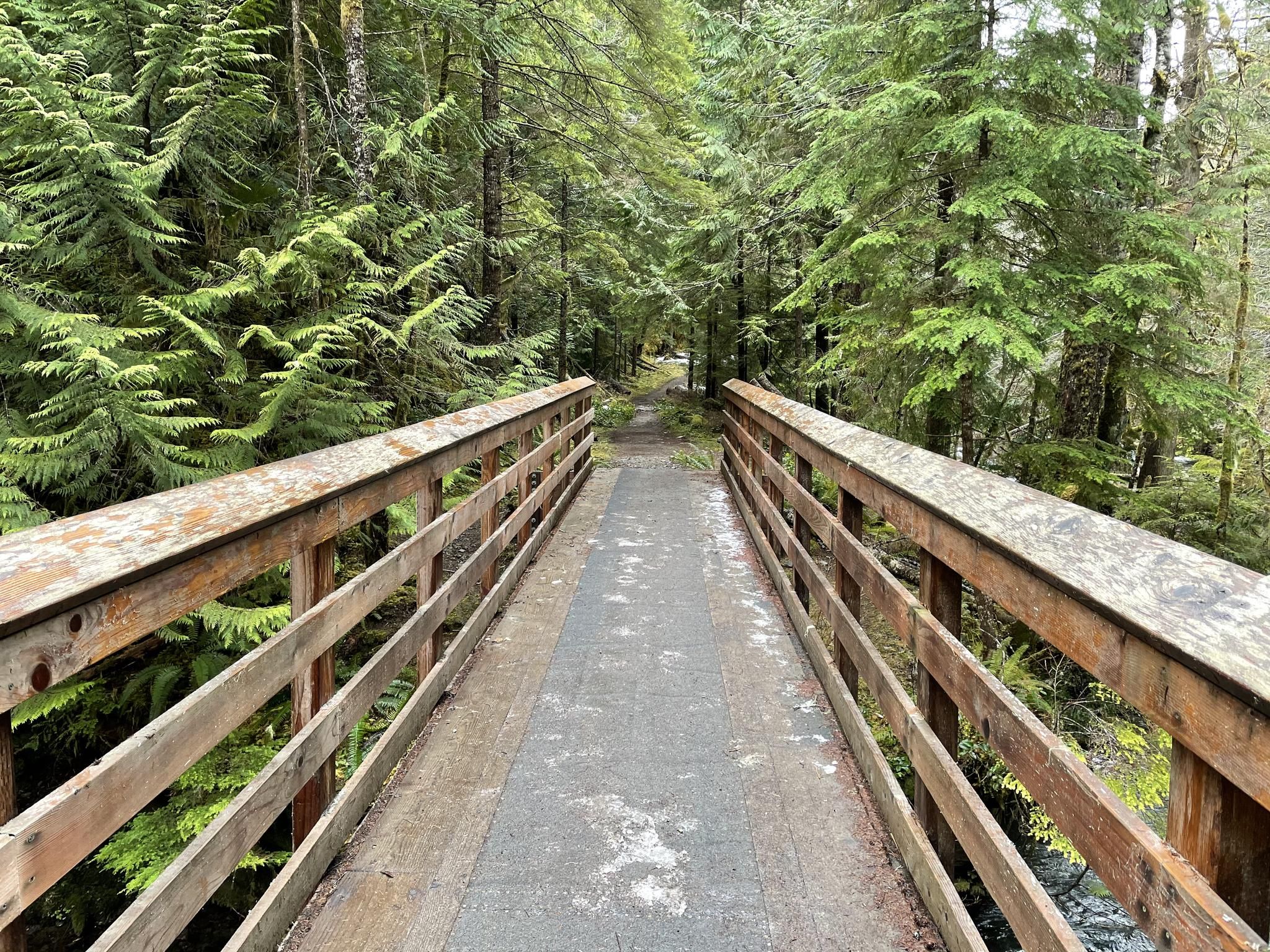 A wooden bridge extends through a lush, green evergreen forest. - Lower Big Quilcene Trail