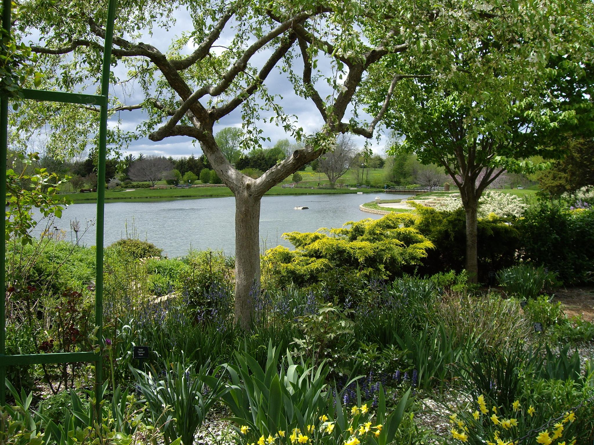 A serene lake view through lush green trees and vibrant garden plants.