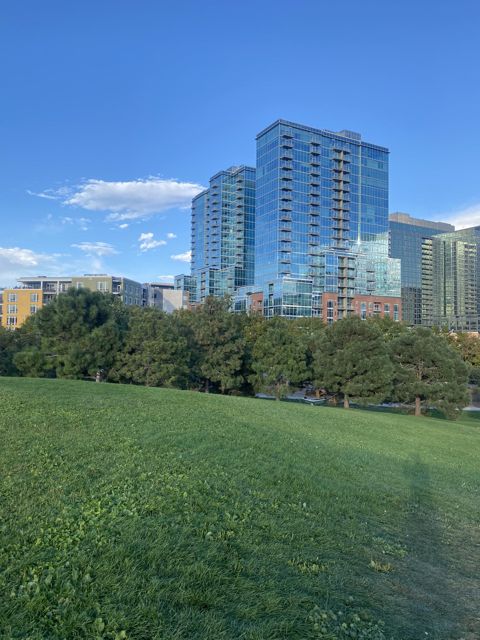 Modern high-rise buildings overlook a vibrant green park under a clear blue sky.