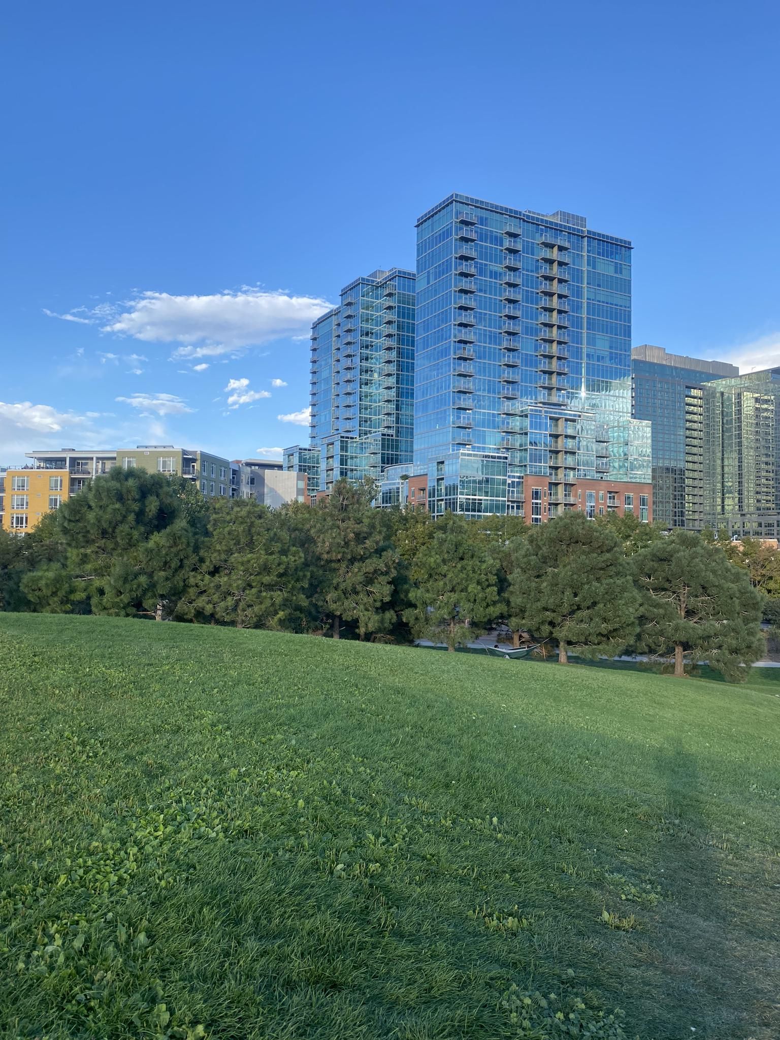 Modern high-rise buildings overlook a vibrant green park under a clear blue sky. - South Platte River Trail