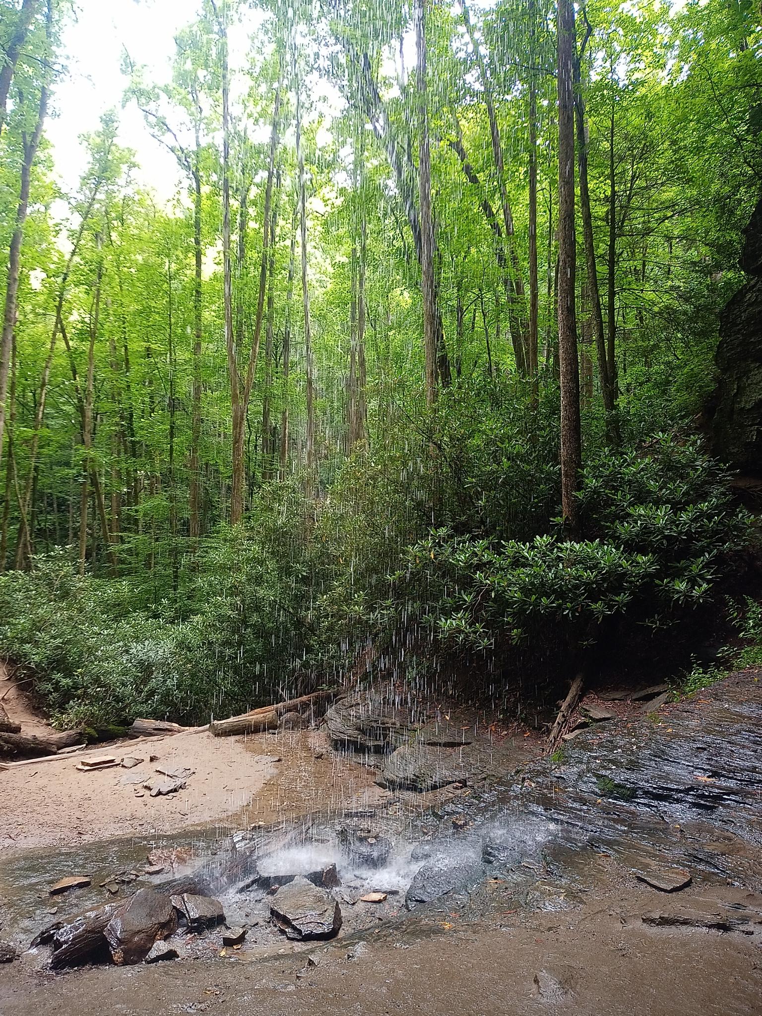 Small waterfall cascades into a rocky pool in a vibrant green forest.