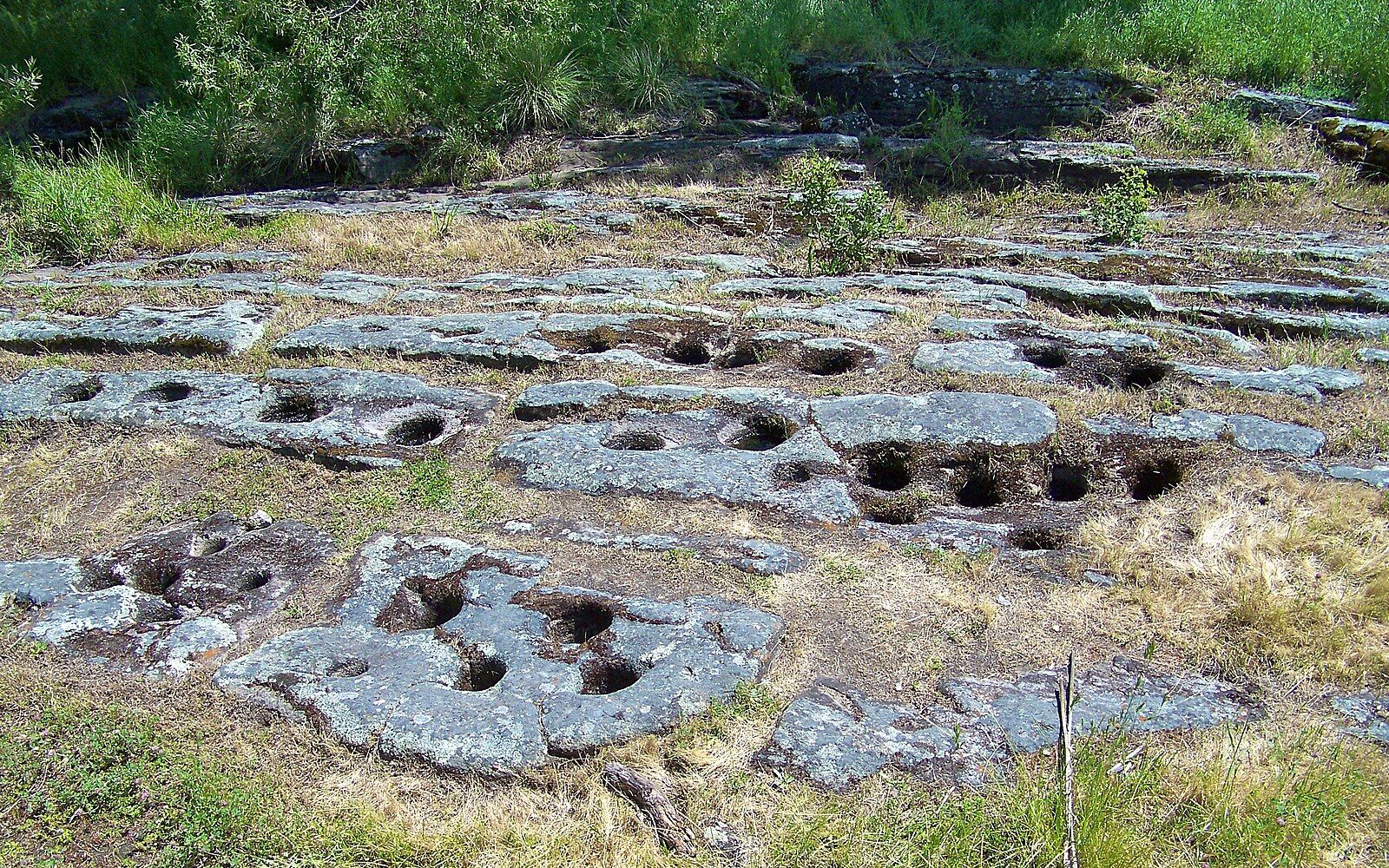 Flat rocks with many circular holes on a grassy ground, bright daylight. - Miner's Ravine and False Ravine Trails Loop