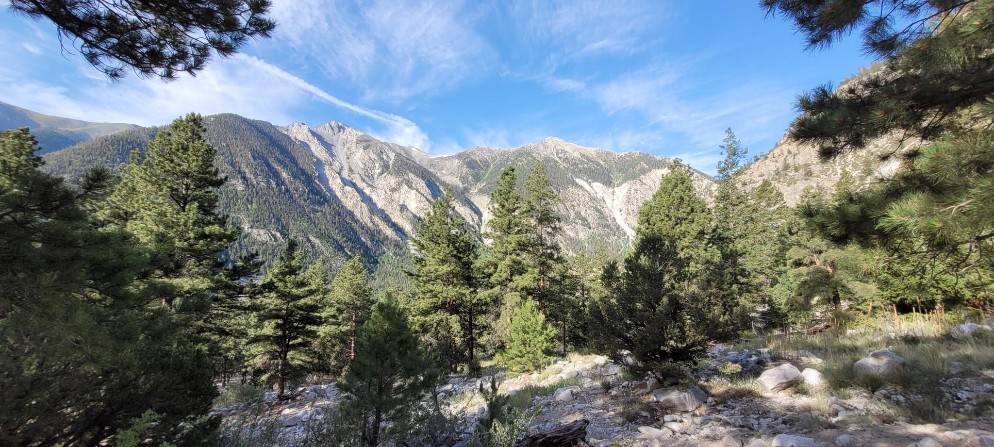 Sunny mountain landscape with a dense pine forest and clear blue sky. - Mount Princeton Hot Springs Resort and the Chalk Cliffs from Nathrop