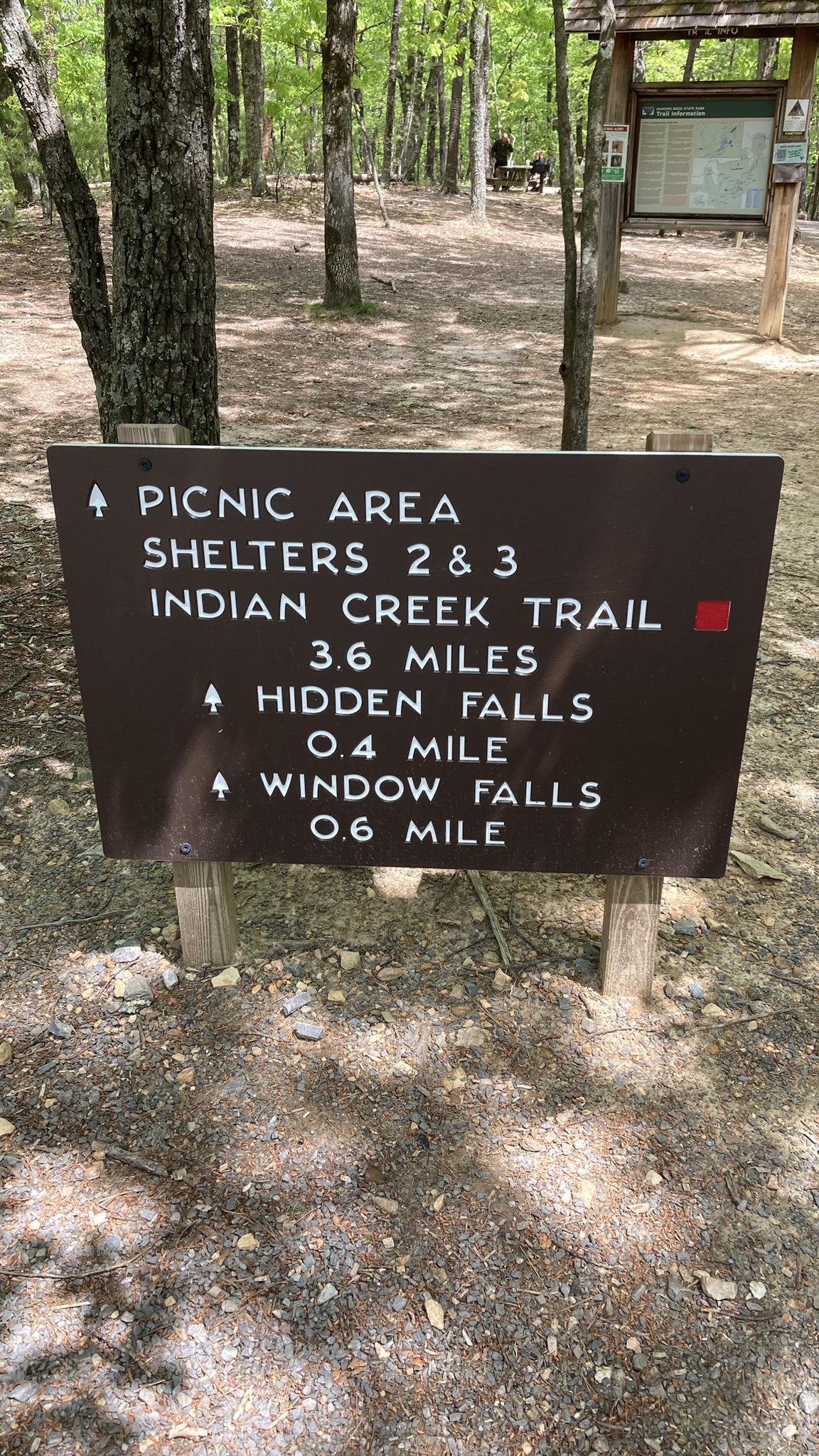A brown trail sign stands on a sunny dirt path in a bright forest.