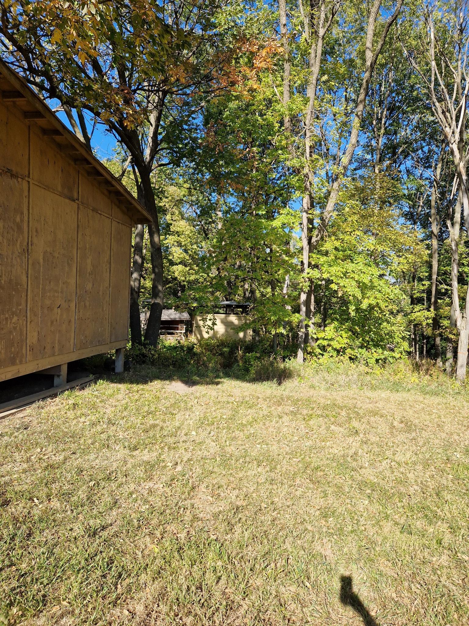 Wooden building beside a sunny grassy clearing and dense green forest.
