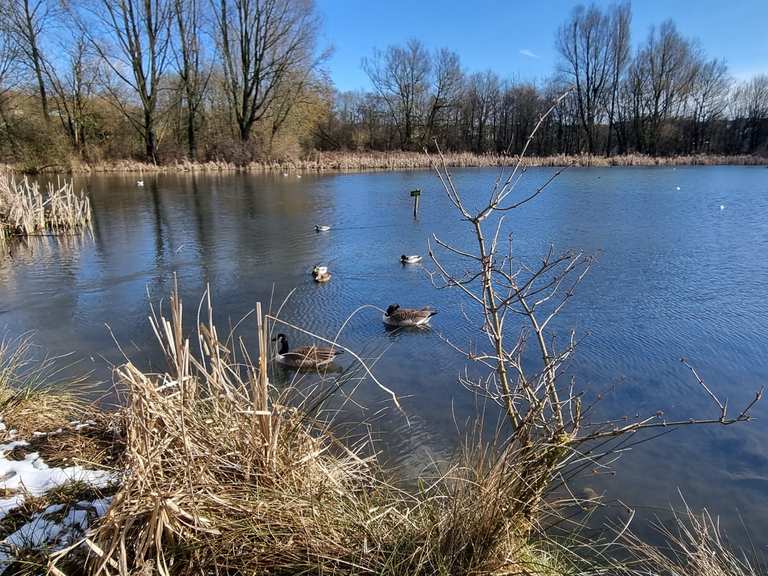 Whitfield Valley Nature Reserve to Chatterley Whitfield Colliery loop ...