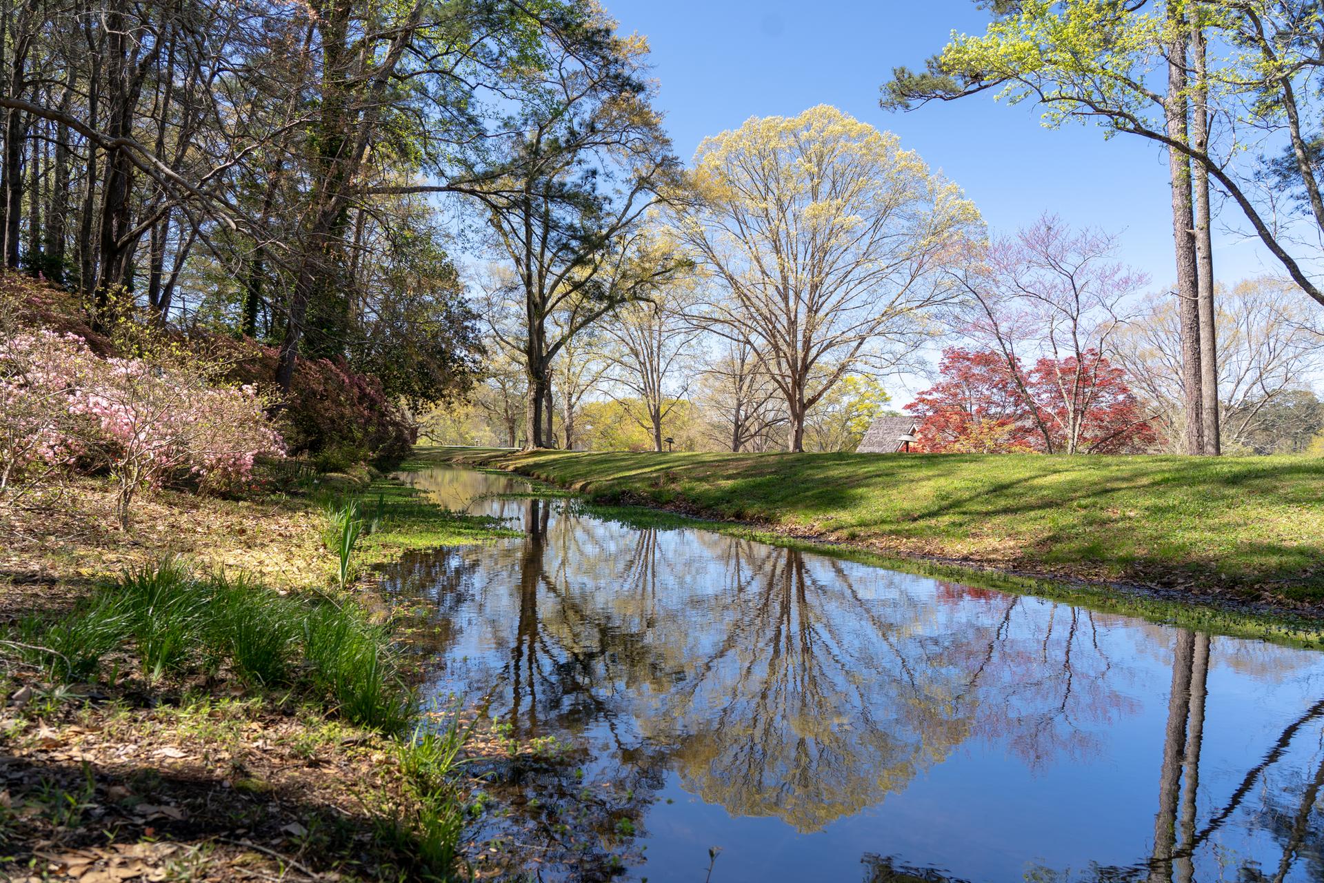 Sunny stream reflecting trees with spring foliage and grassy banks.