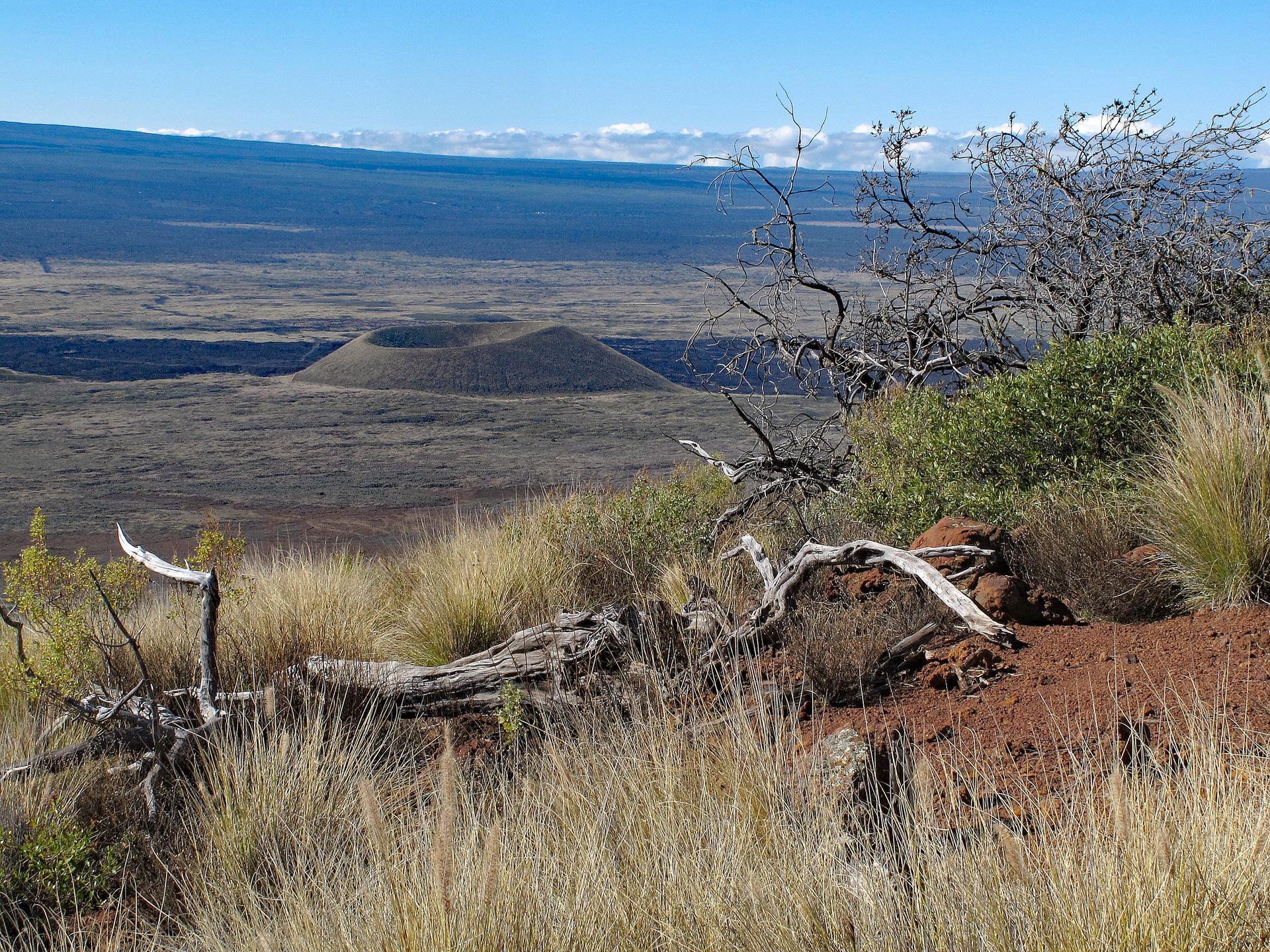 Sunny view of a volcanic field with a cinder cone and dry foreground vegetation.