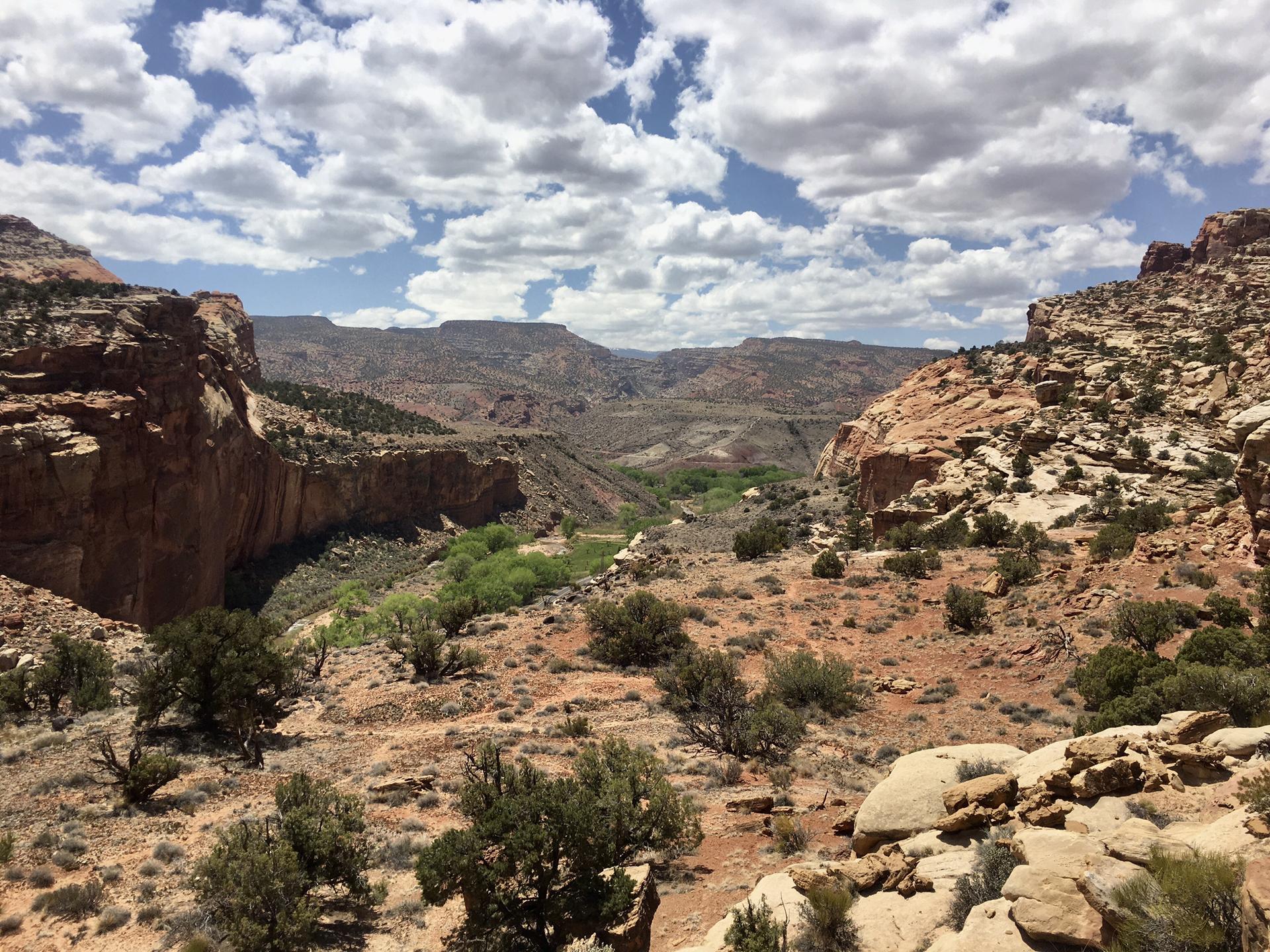 Expansive desert canyon with green vegetation, winding path, and cloudy sky.