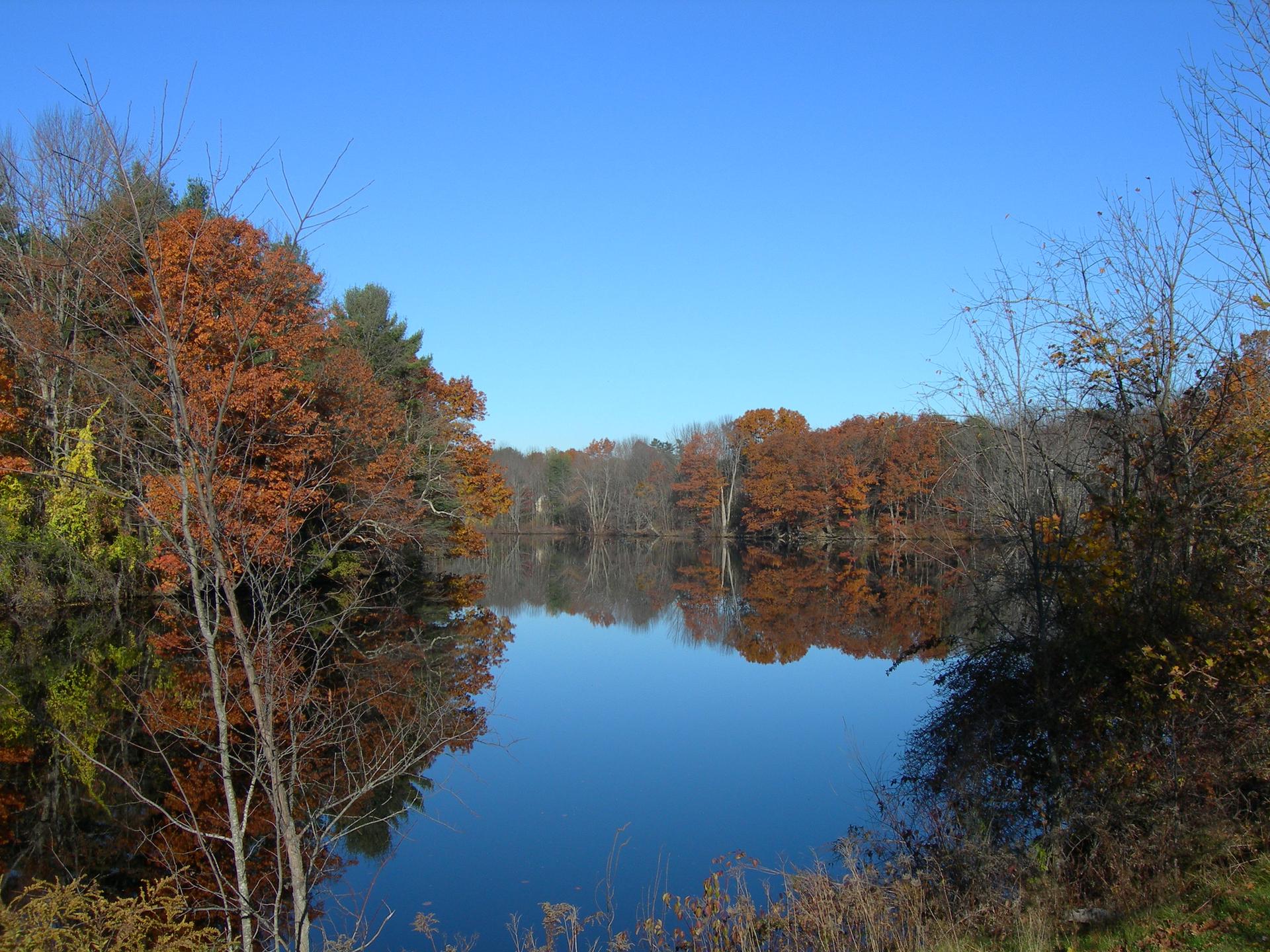Calm lake reflecting colorful autumn trees under a clear blue sky.