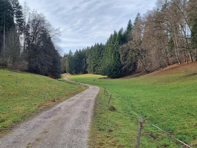 Idyllisches Tal MountainbikeTouren komoot