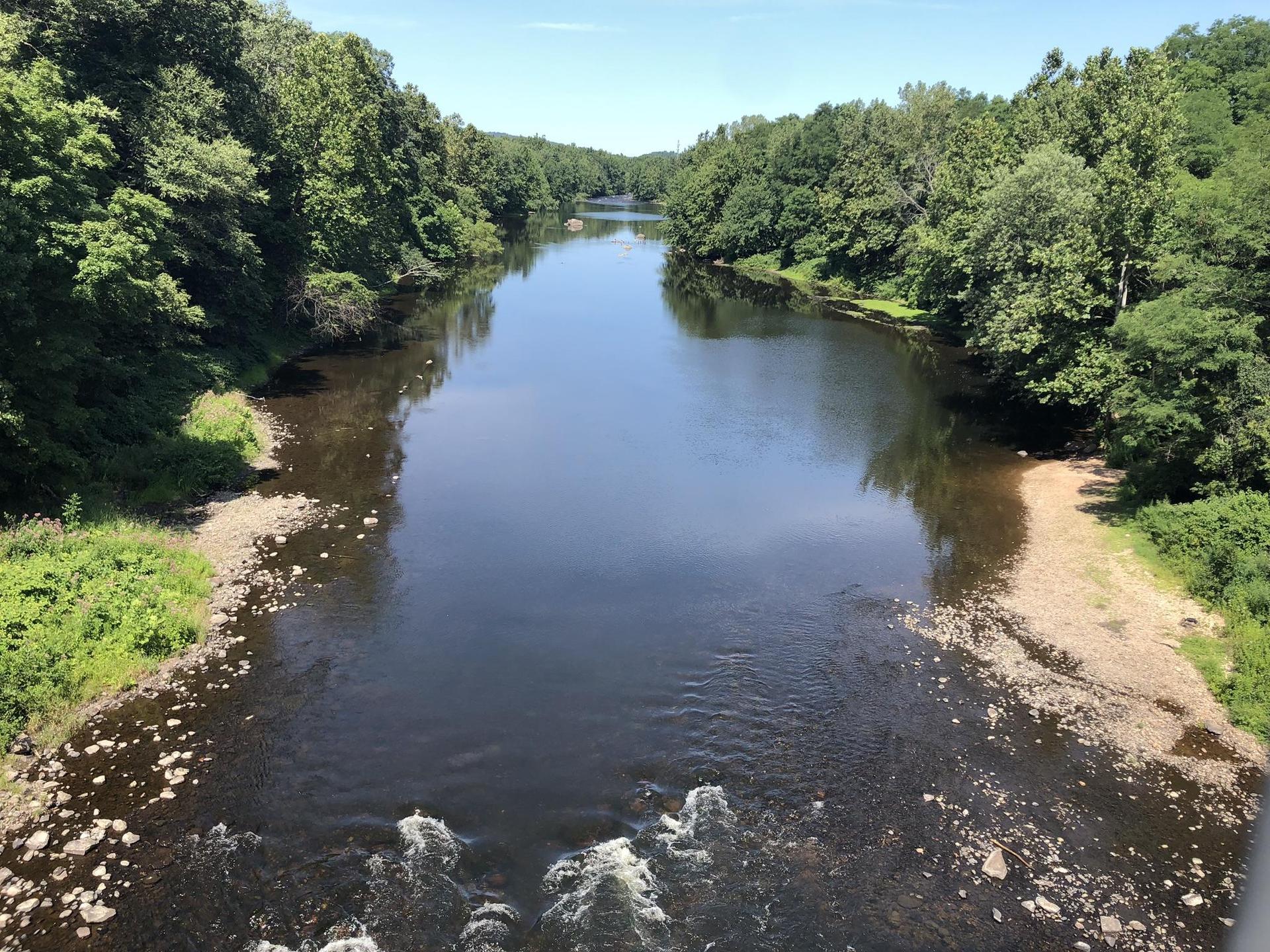 Wide river flowing through dense green forest under bright sunny sky.