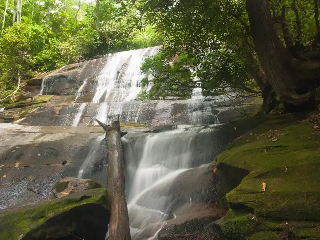 Waterfall flowing over mossy rocks and a fallen log in a green forest.