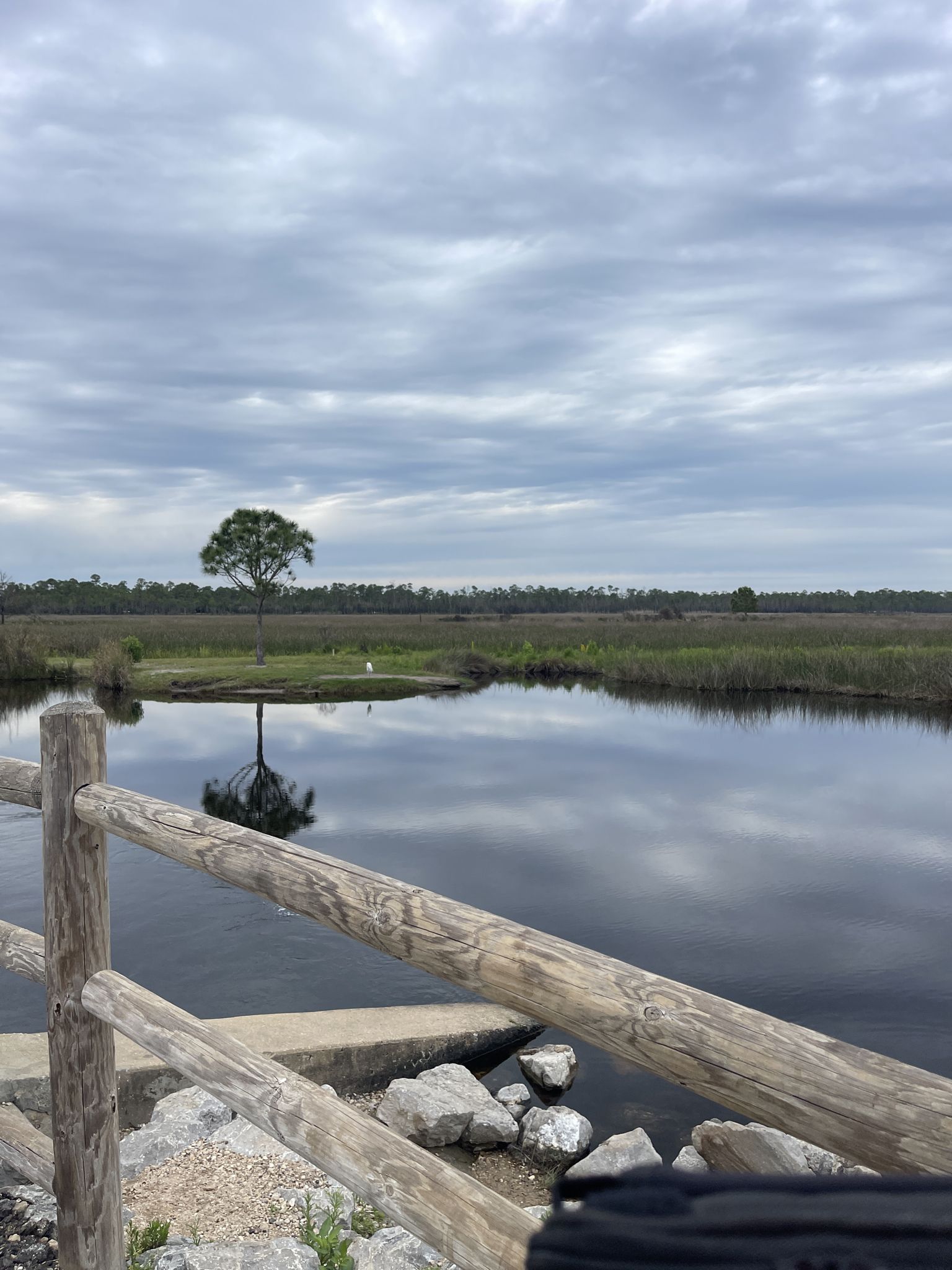 Overcast view of a calm lake with a tree on a small island. - Lake View Trail loop