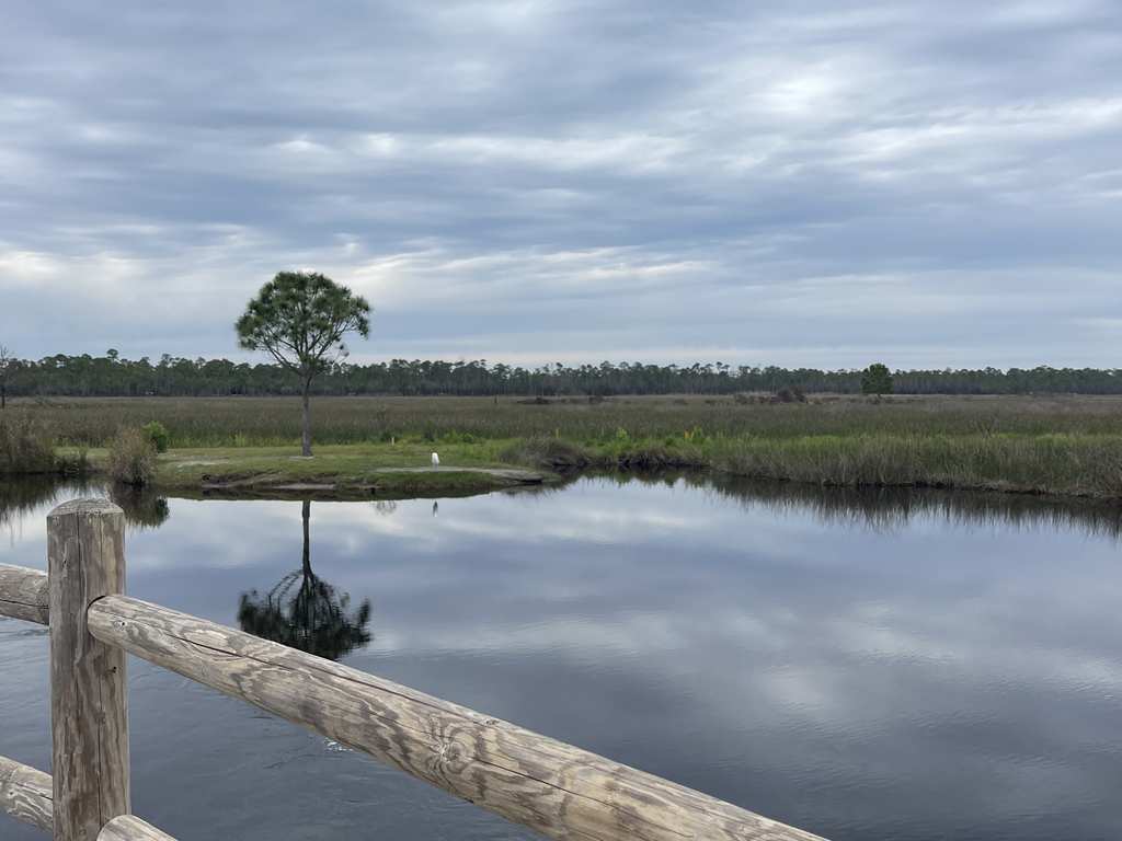 Top 20 Lakes in Alabama