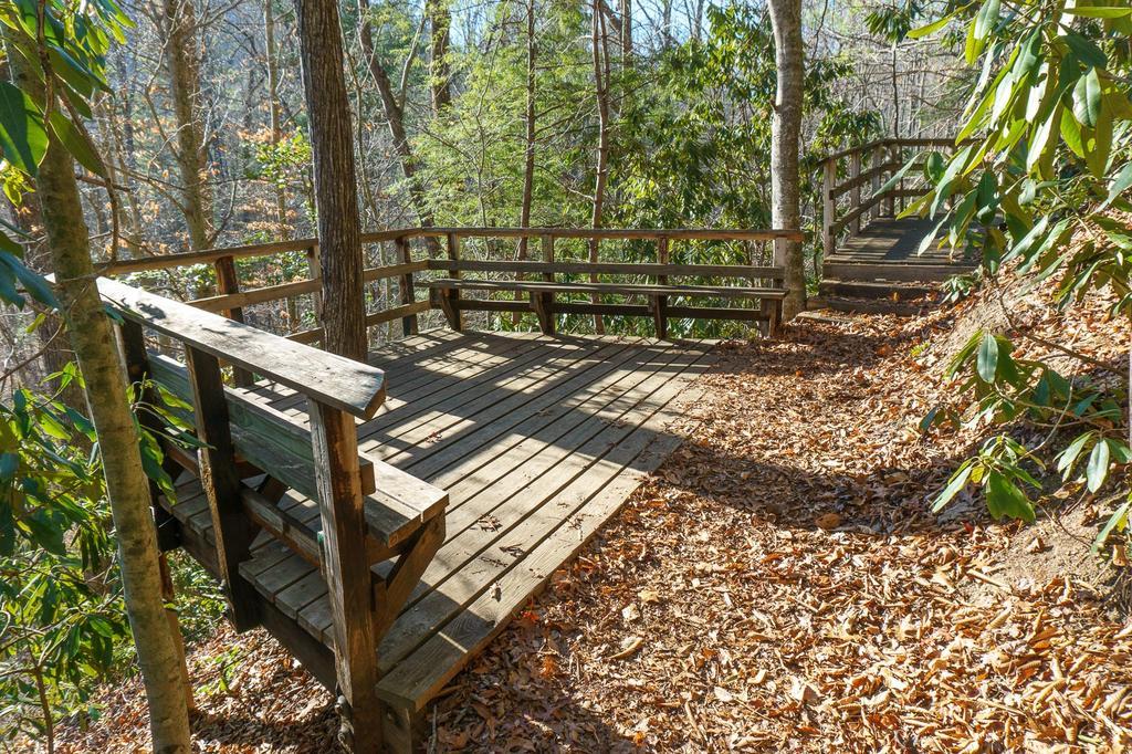 An empty wooden observation deck surrounded by sunlit trees and fallen leaves.