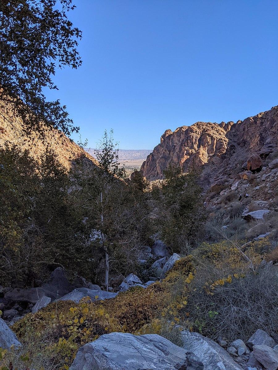View down a rocky canyon with green trees and a distant bright valley.