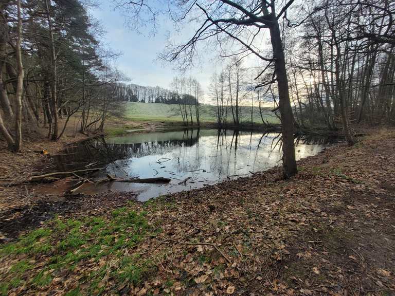Am Kösterbecker See Wanderungen und Rundwege komoot