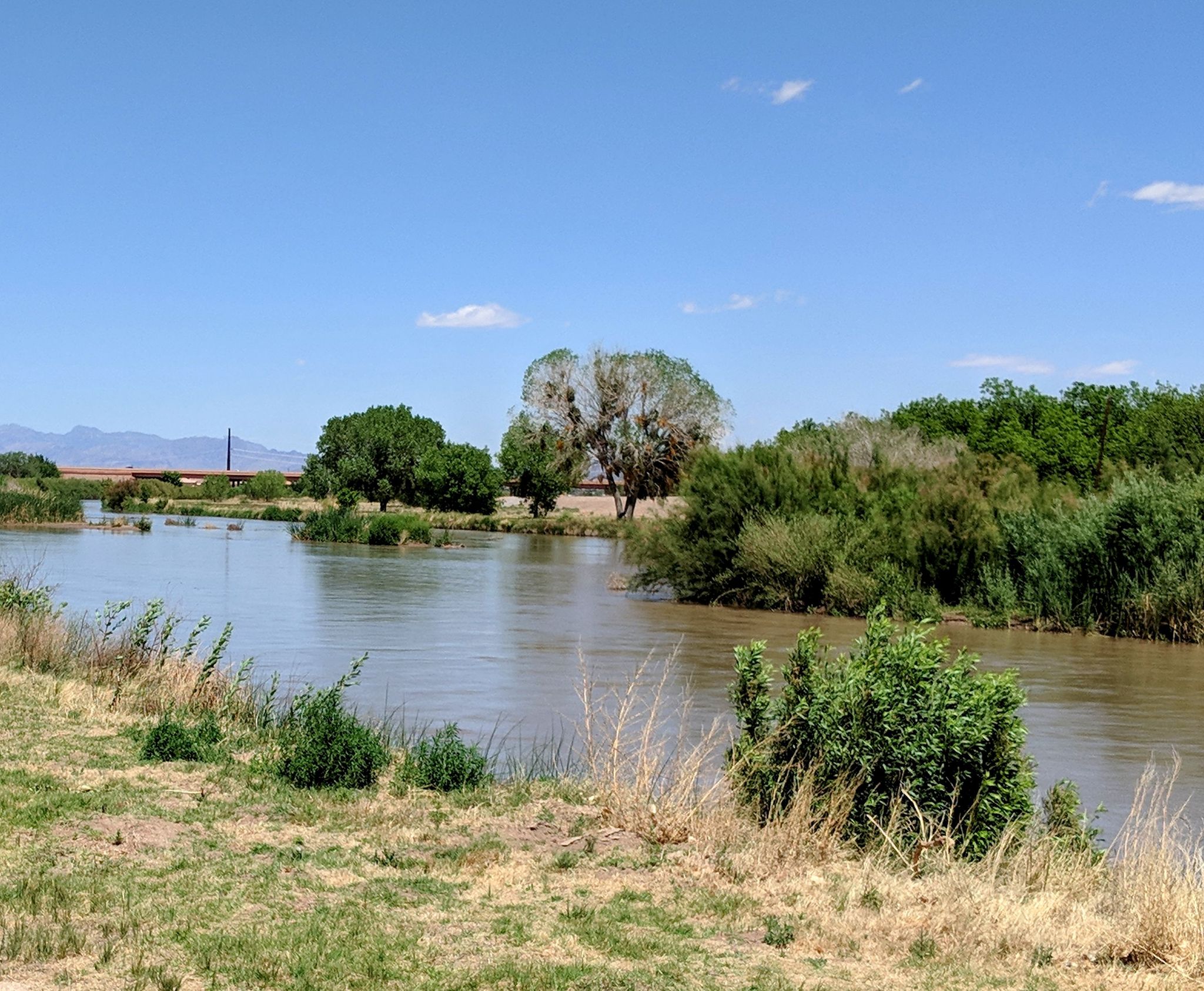 A wide river flows between lush green banks under a bright blue sky. - River Park Trail