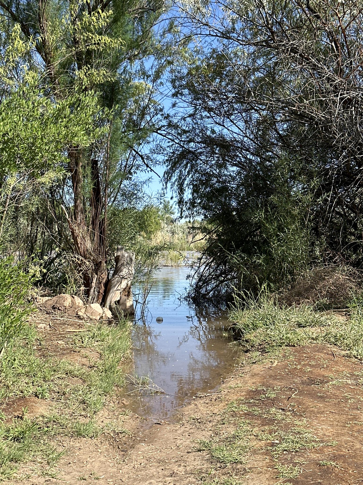 A muddy path leading to a body of water surrounded by dense green trees.