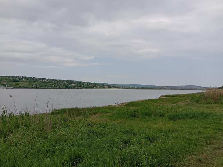 Ialoveni