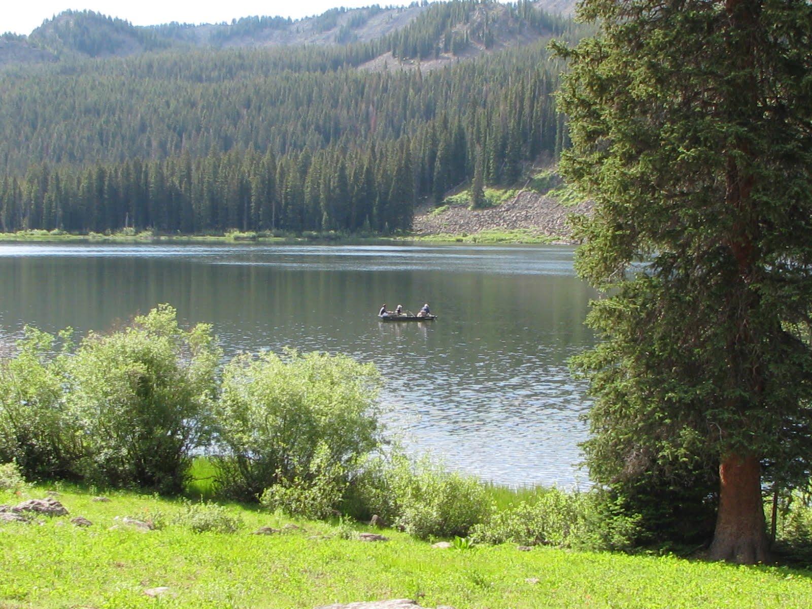 Two people paddle a canoe on a calm lake surrounded by forests.