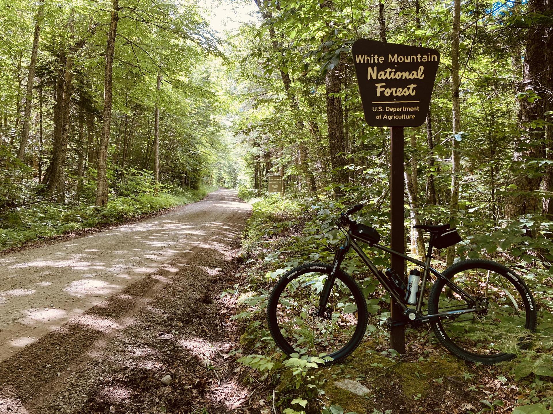 Bicycle parked by a sign on a sunny dirt road through a dense forest.