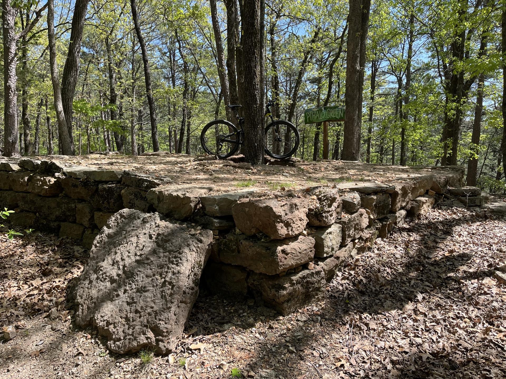 A bicycle rests on a stone platform in a sunlit forest.