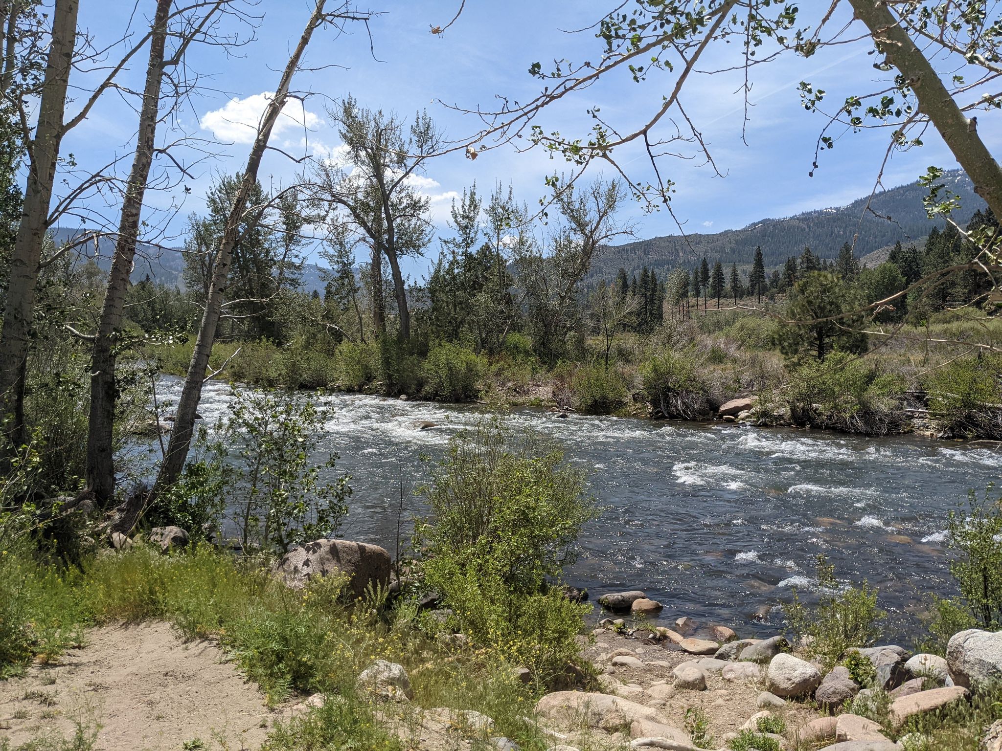 A wide river flows through a wooded area with mountains under a bright sky. - Somersett & Verdi loop