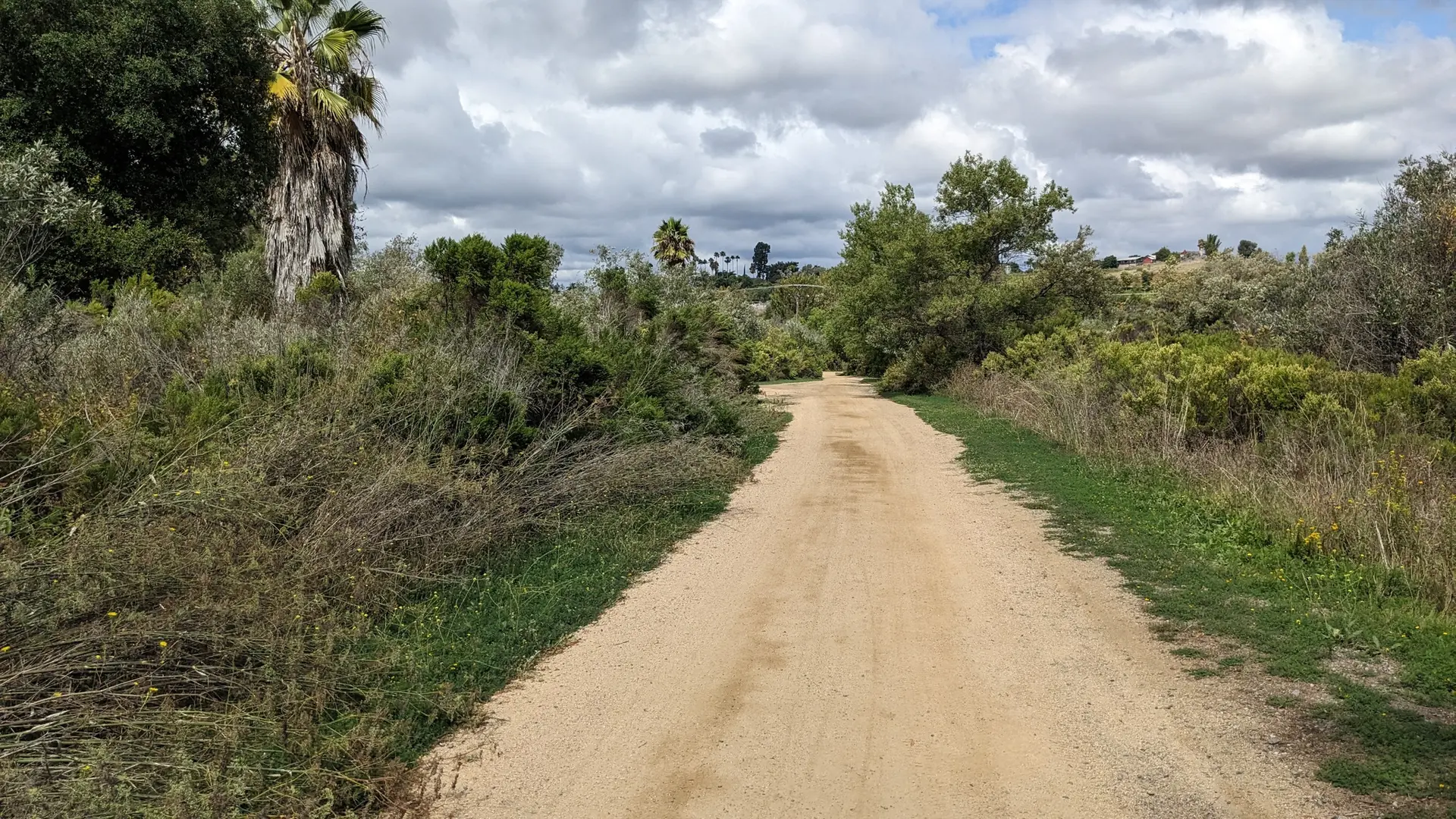 A dirt path winds through dense green and dry brush under a cloudy sky.