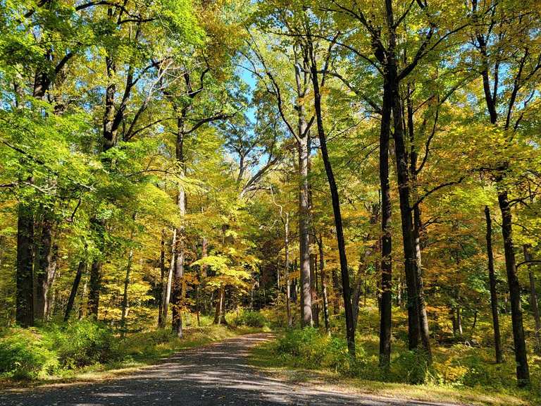 Sleepy Hollow to Swan Lake via Barnyard Hill — Rockefeller State Park ...