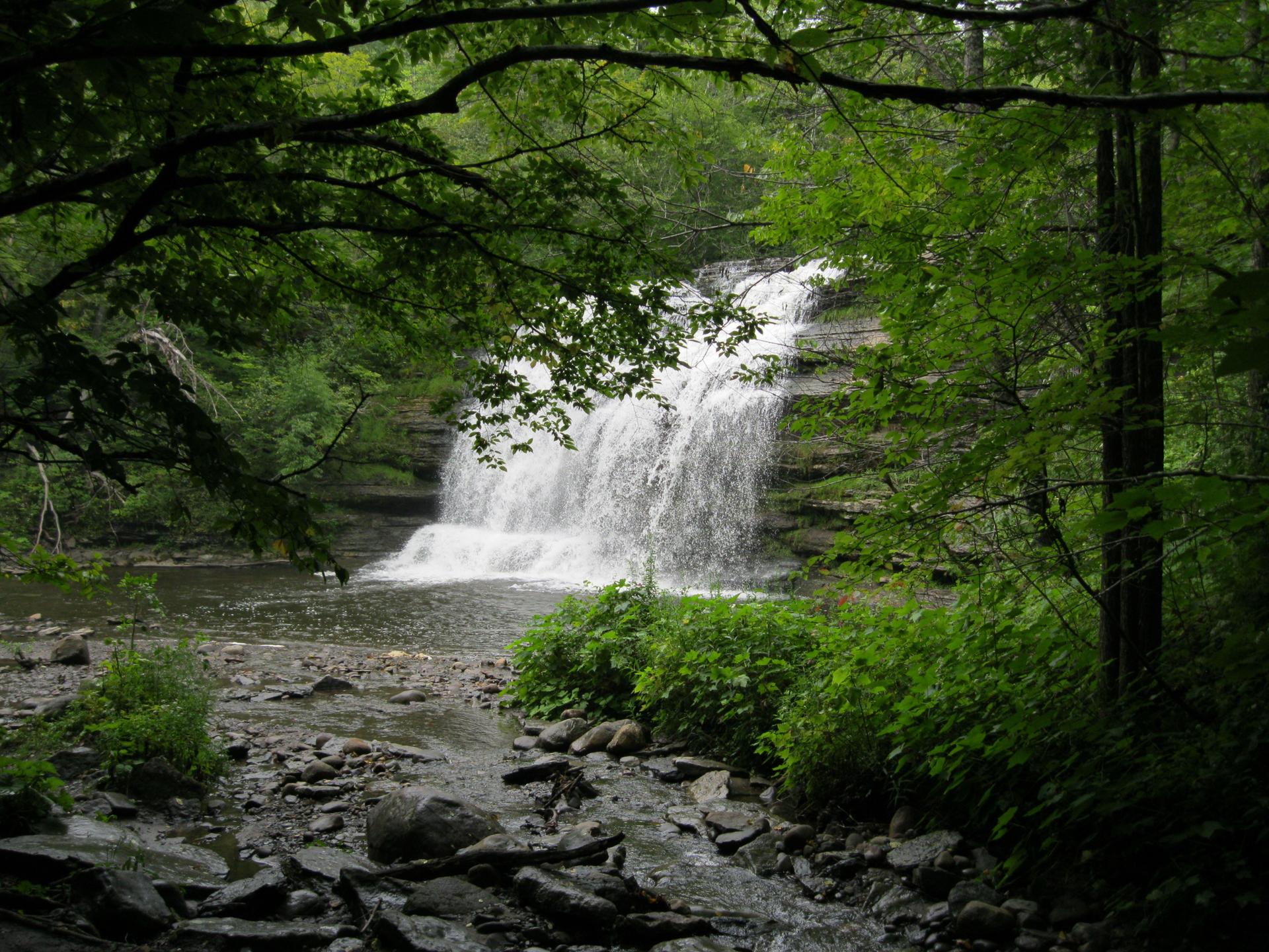 A waterfall cascades into a rocky stream surrounded by dense green forest.