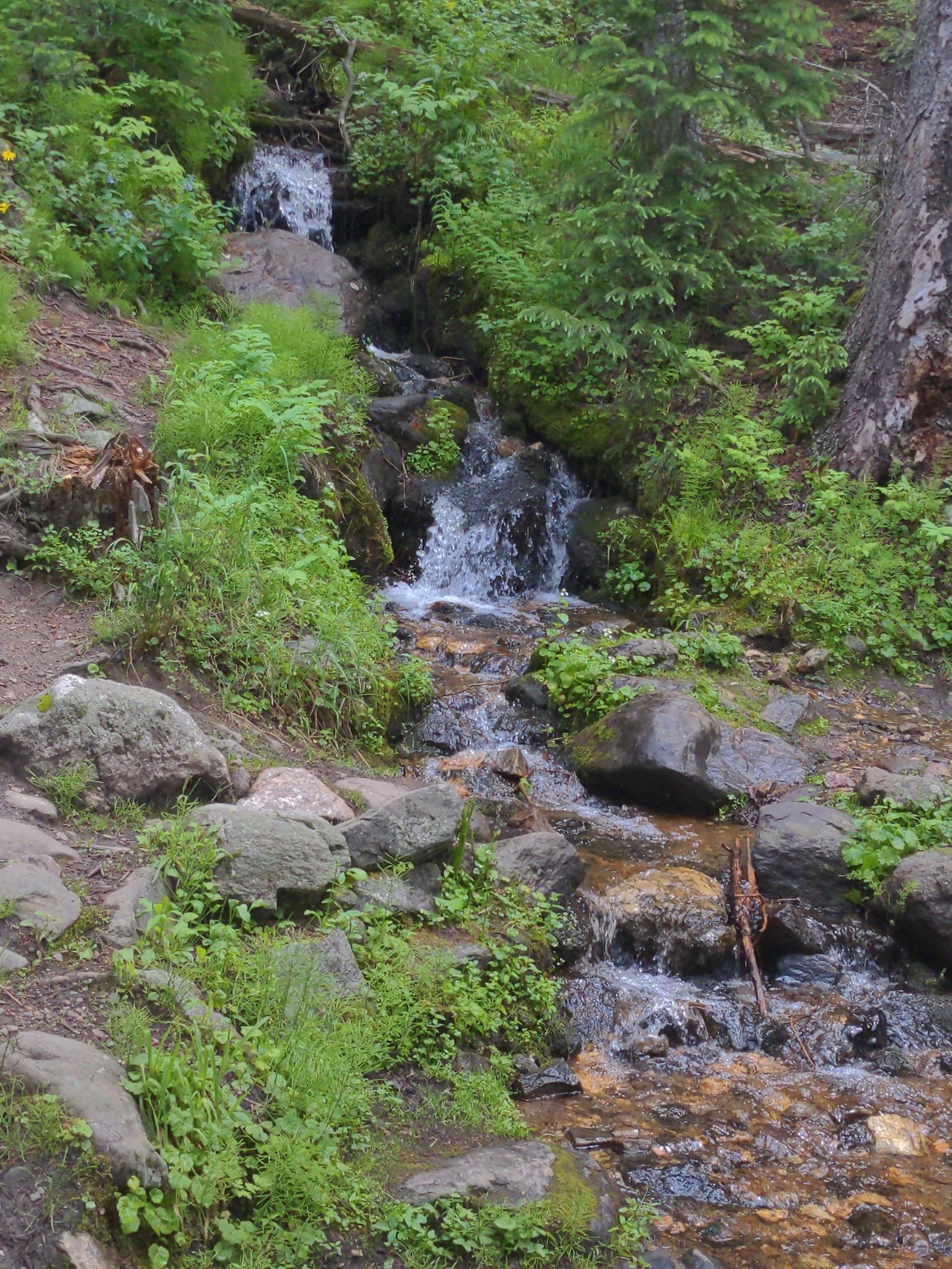 Natural light illuminates a rocky stream and small waterfalls in a green forest.